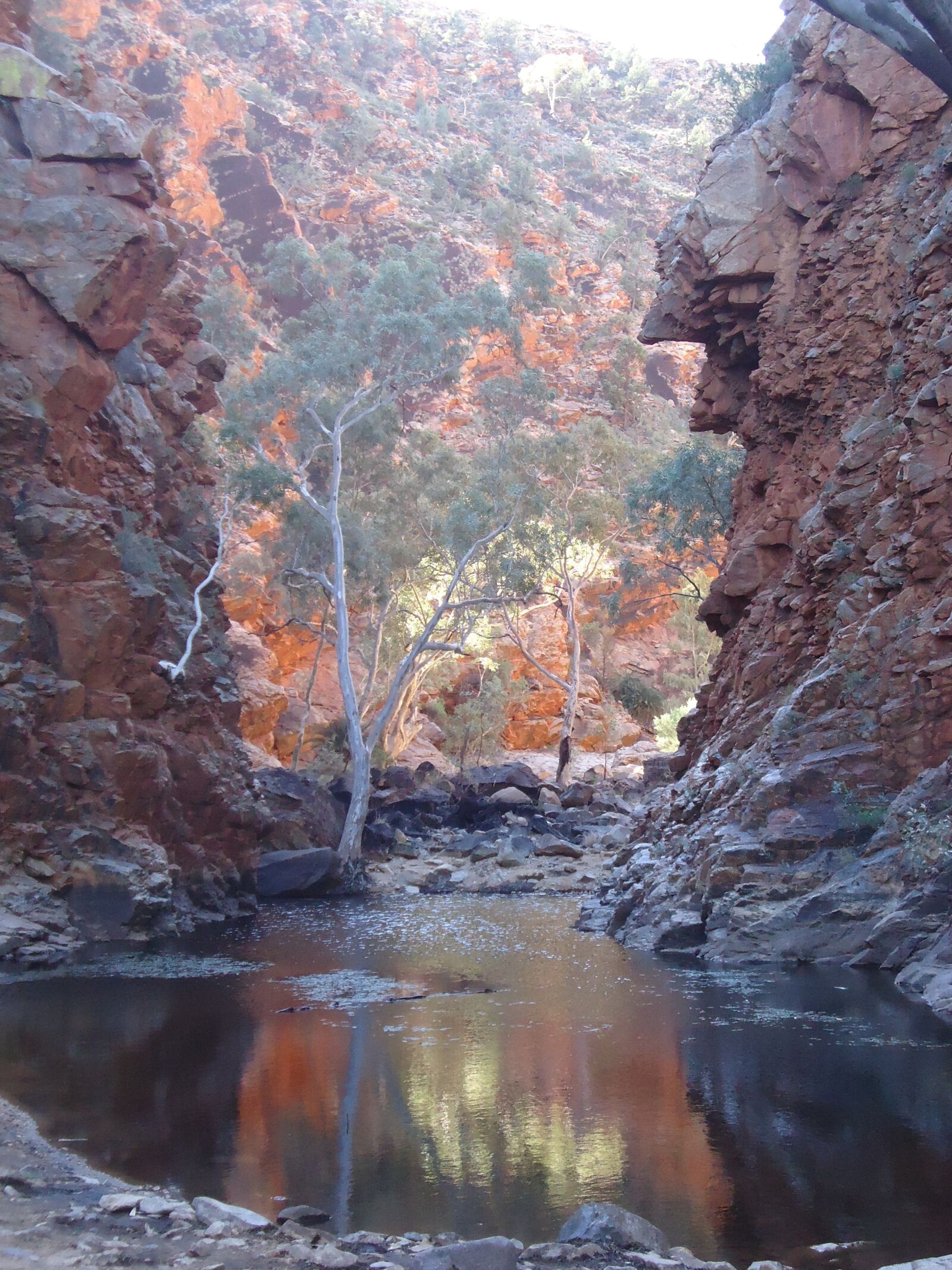 Sony Cyber-shot DSC-W530 sample photo. Larapinta, track, northern, territory photography