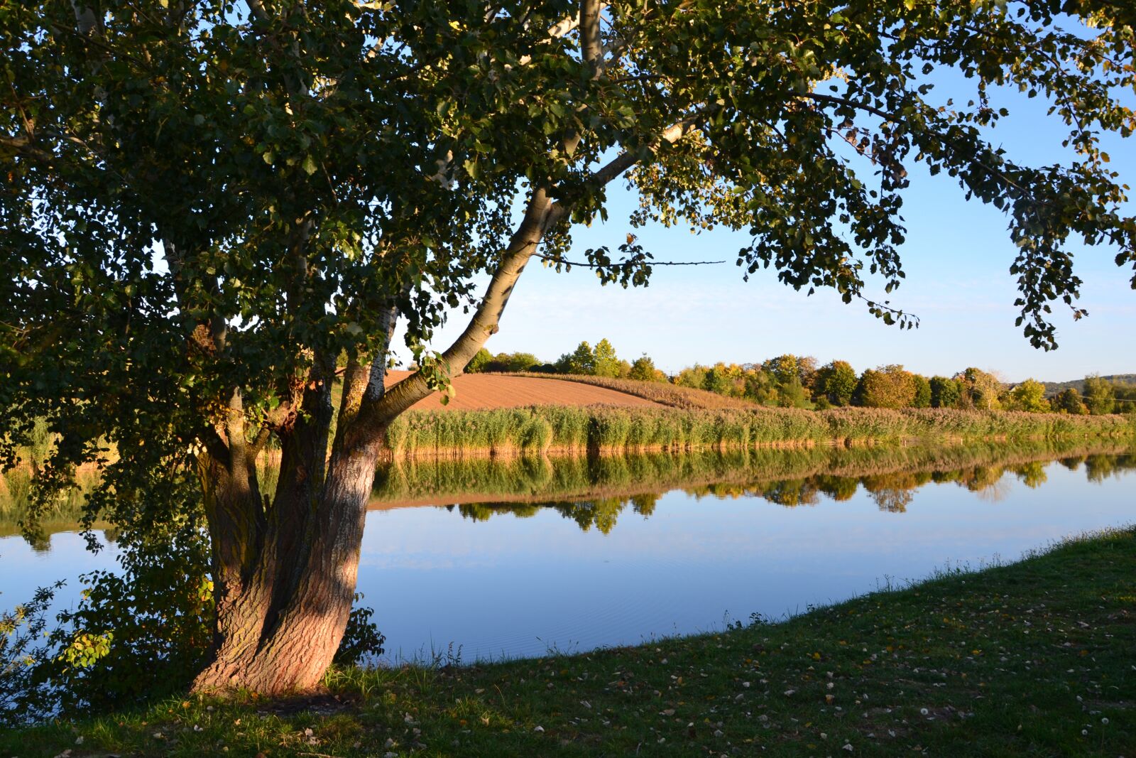 Nikon D3100 sample photo. Hungary, vokány, lake photography