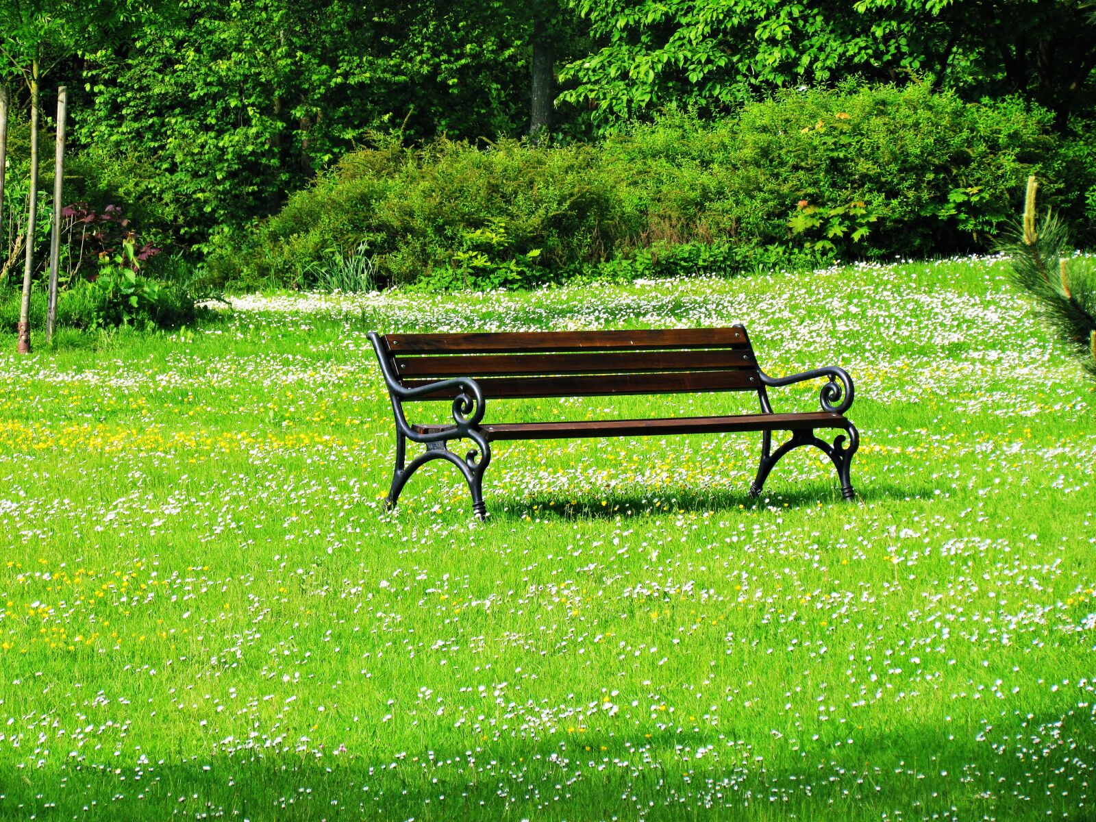 Canon PowerShot SX30 IS sample photo. Bench, park, green photography