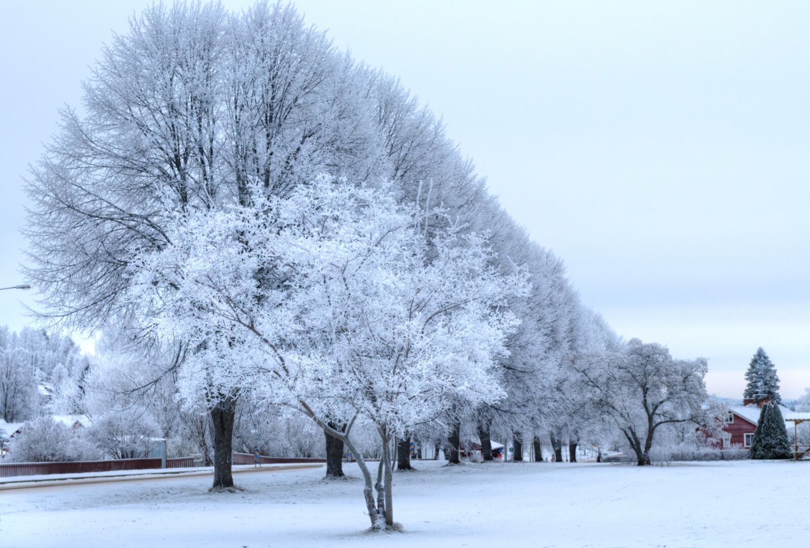 Nikon D60 sample photo. Winter, cold, snow photography