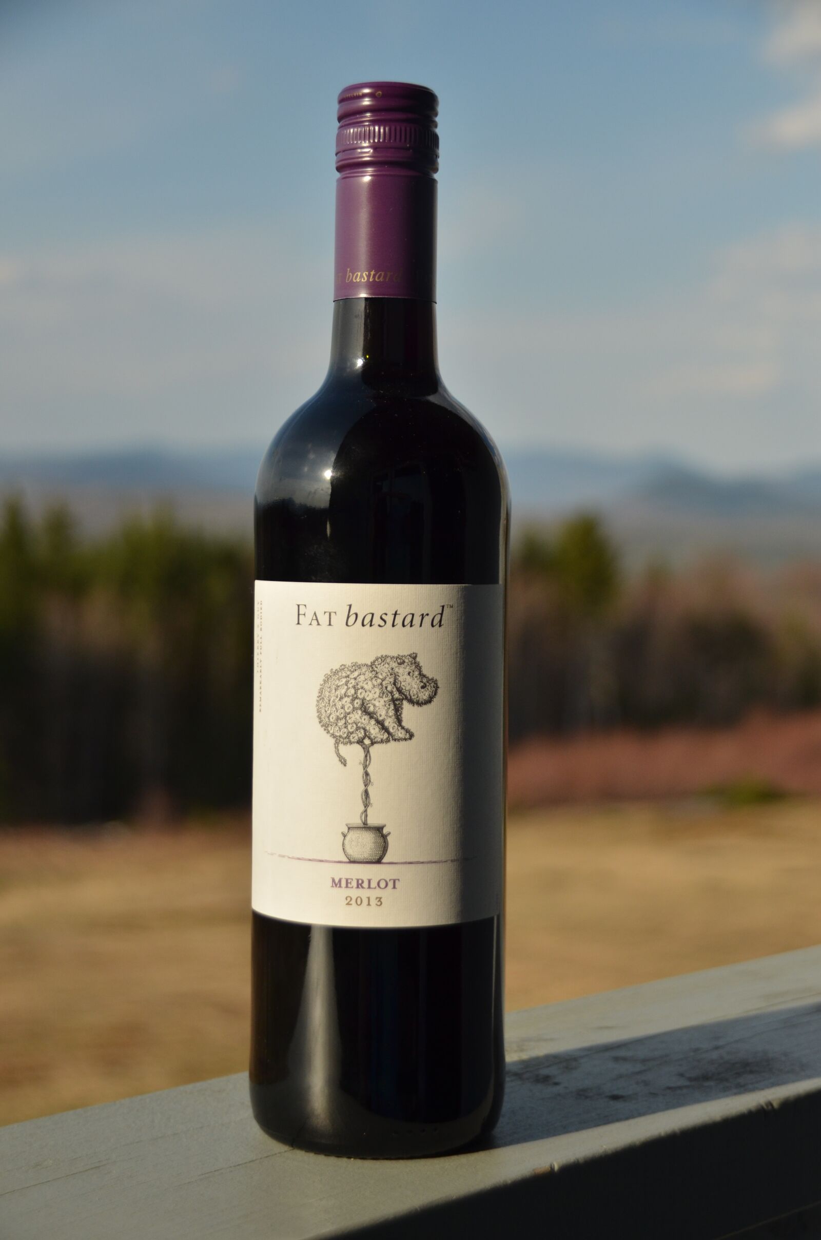 Nikon D7000 sample photo. Bottle, wine, red photography