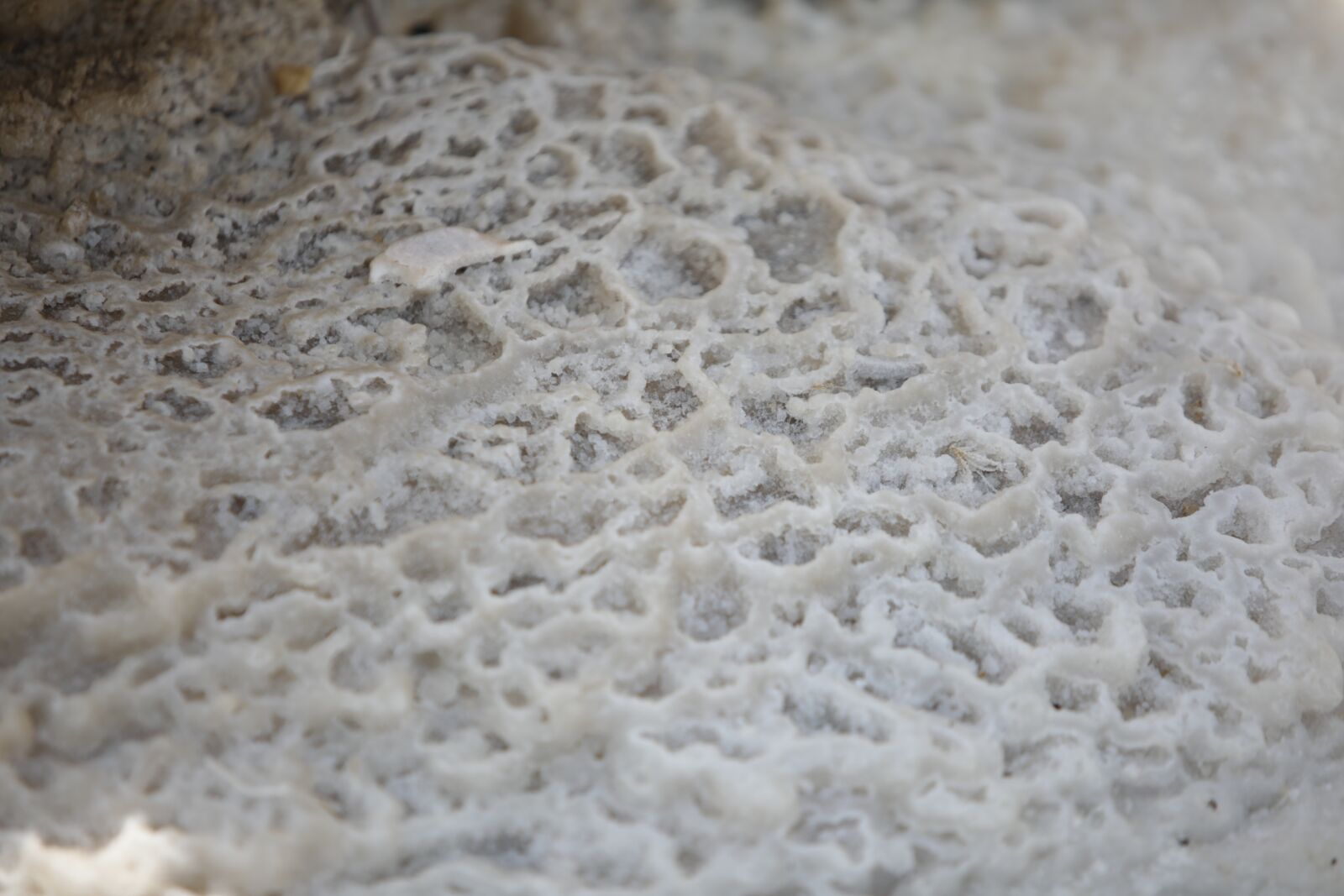 Canon EF 70-200mm F2.8L USM sample photo. Sea, salt, water photography