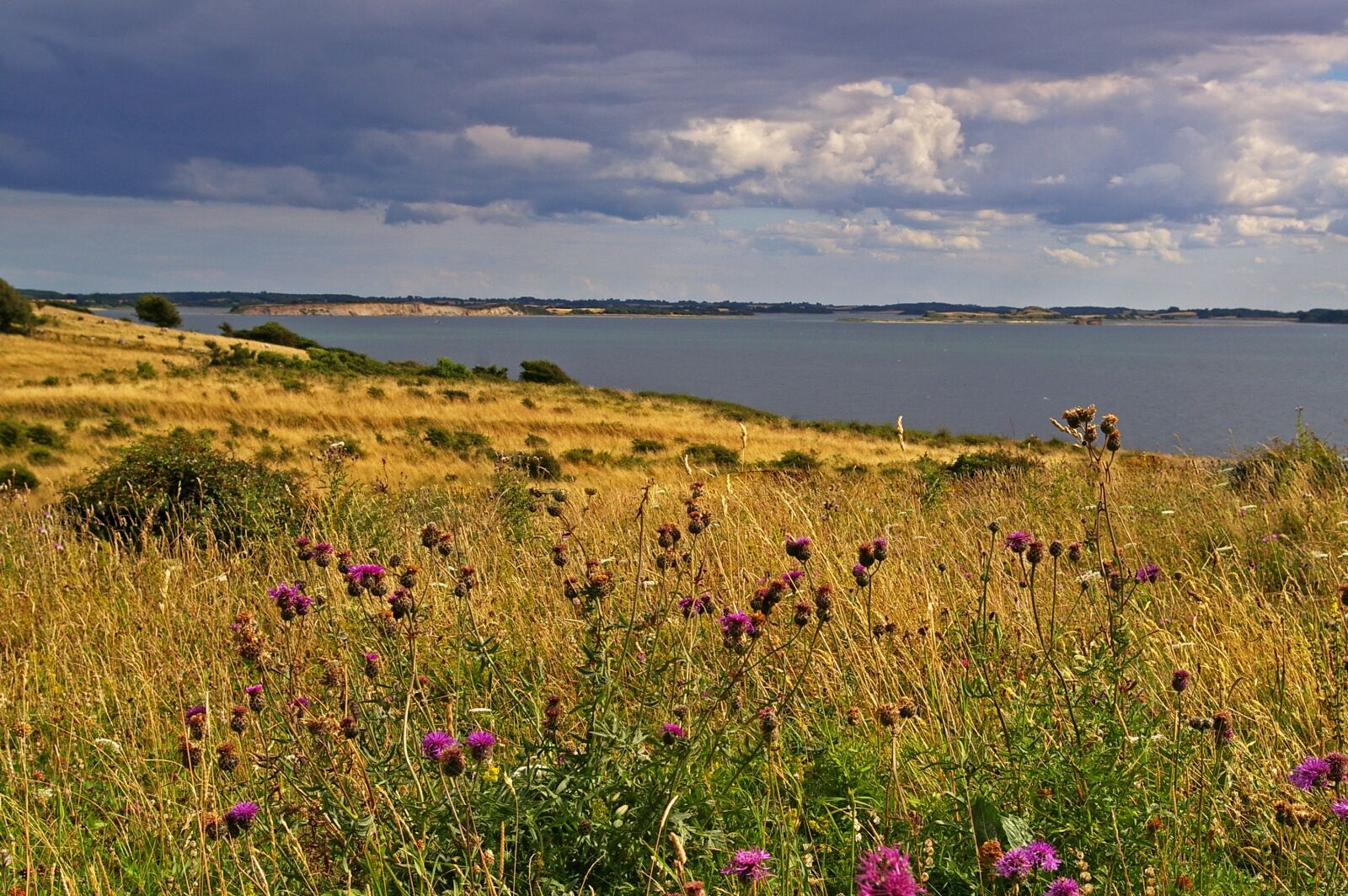 Pentax *ist DL2 sample photo. Denmark, danish coast, island photography