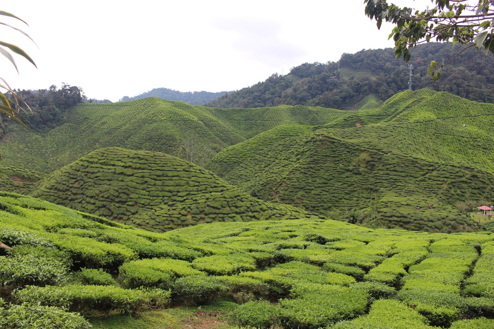 Canon EOS 700D (EOS Rebel T5i / EOS Kiss X7i) sample photo. Mountains, green, hill photography