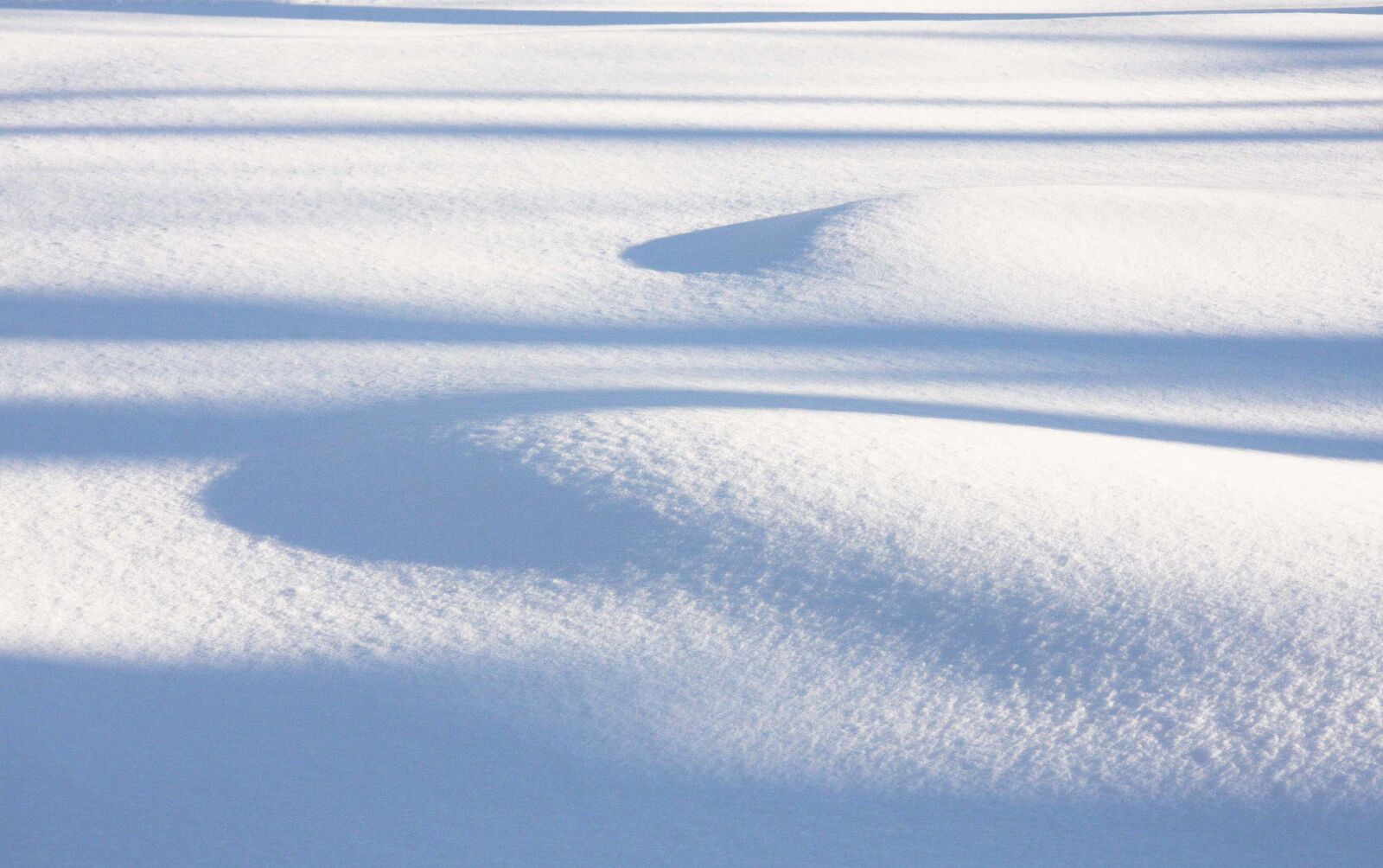 Canon EOS 40D sample photo. St john's, snow, sun photography