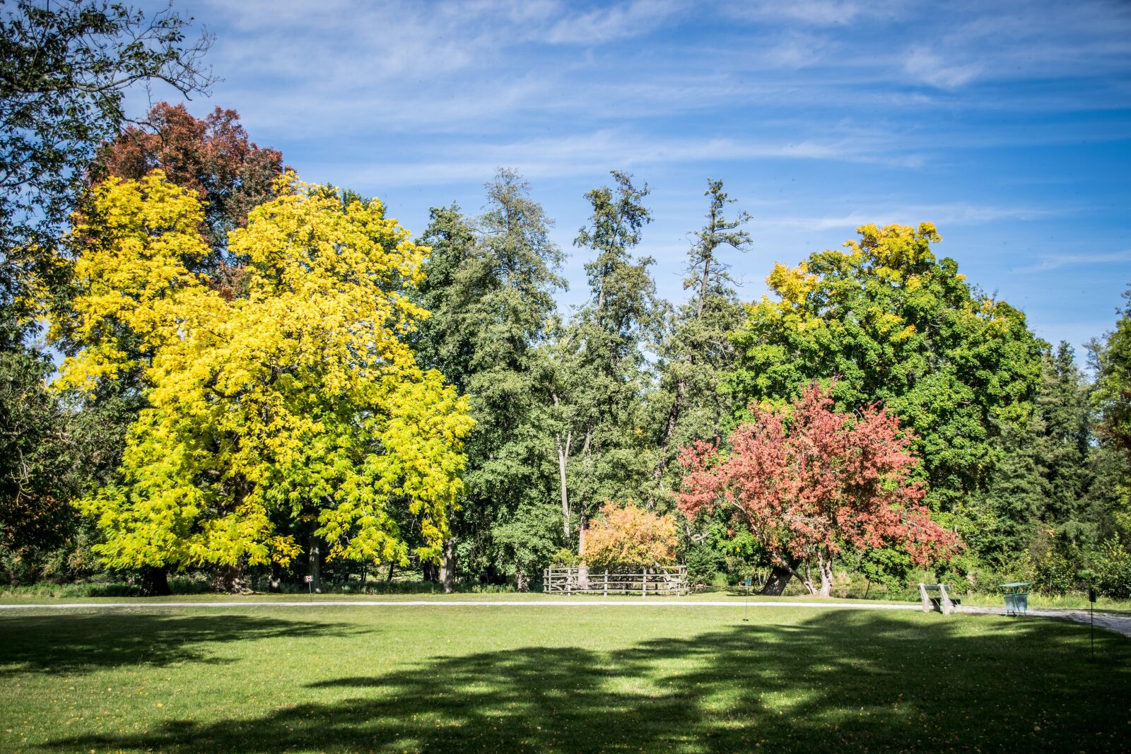 Nikon D5300 sample photo. Autumn, park, nature photography