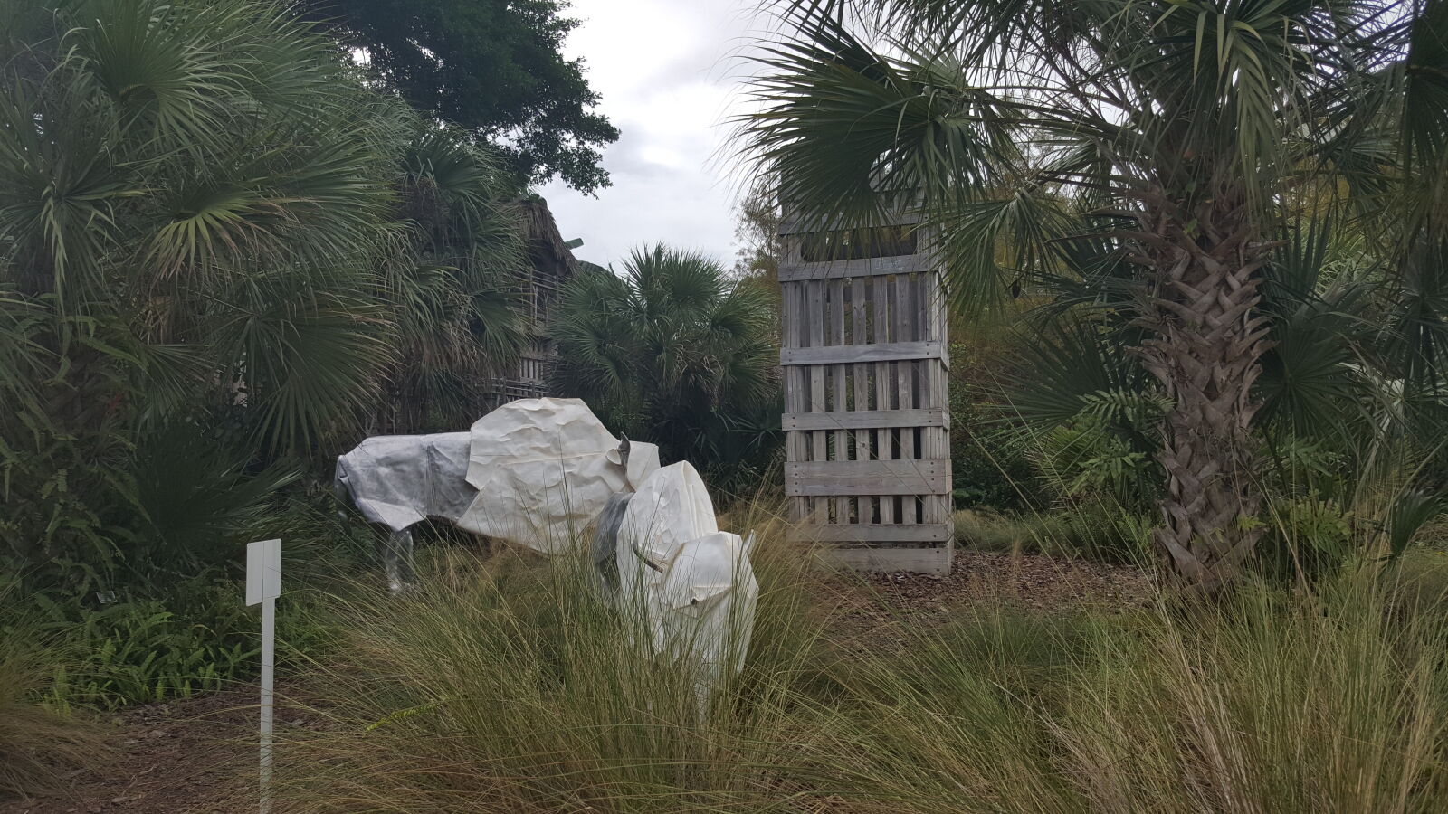 Samsung GALAXY S6 edge sample photo. Botanical, gardens, naples photography