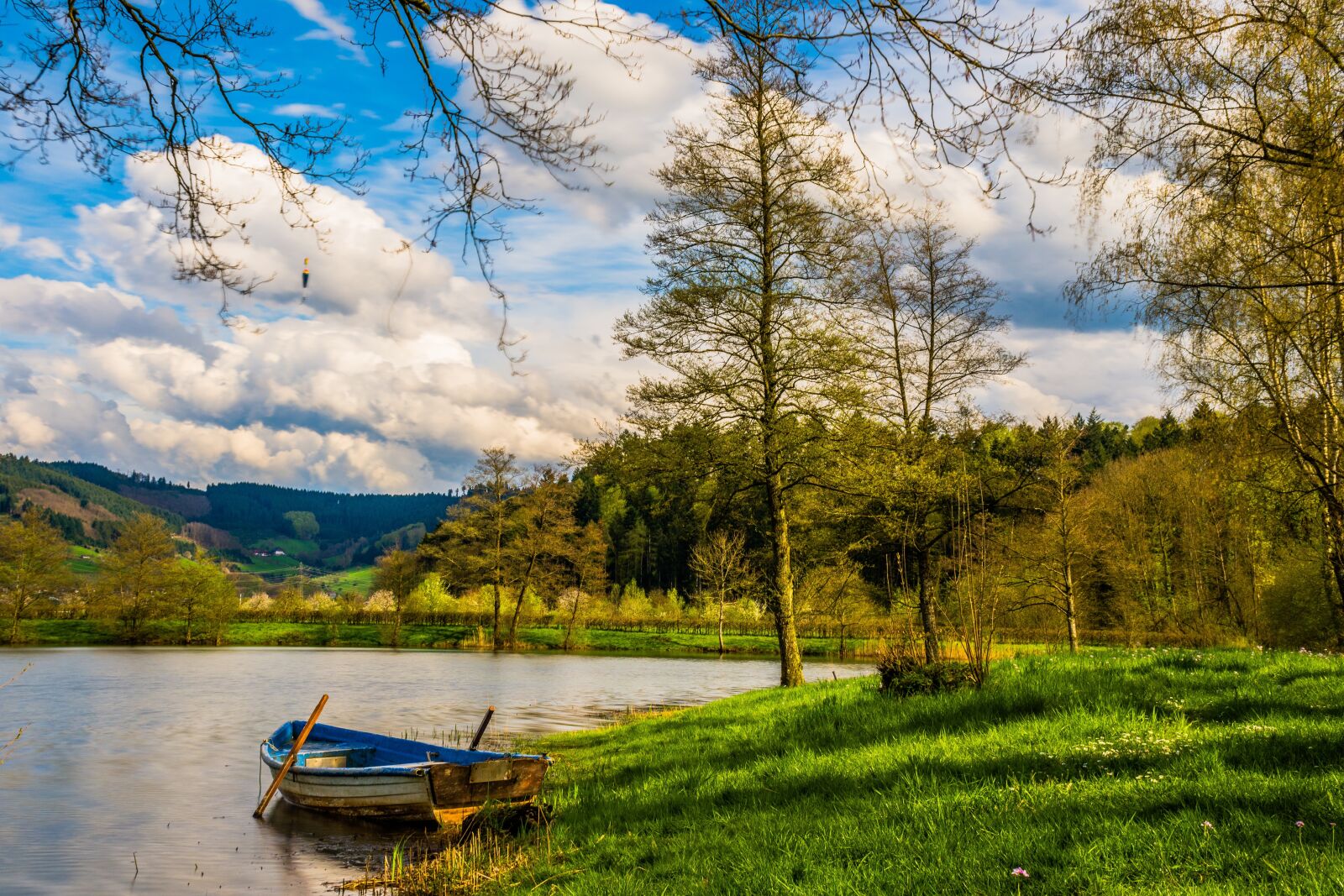 Nikon D7200 sample photo. Boat, oars, nature photography