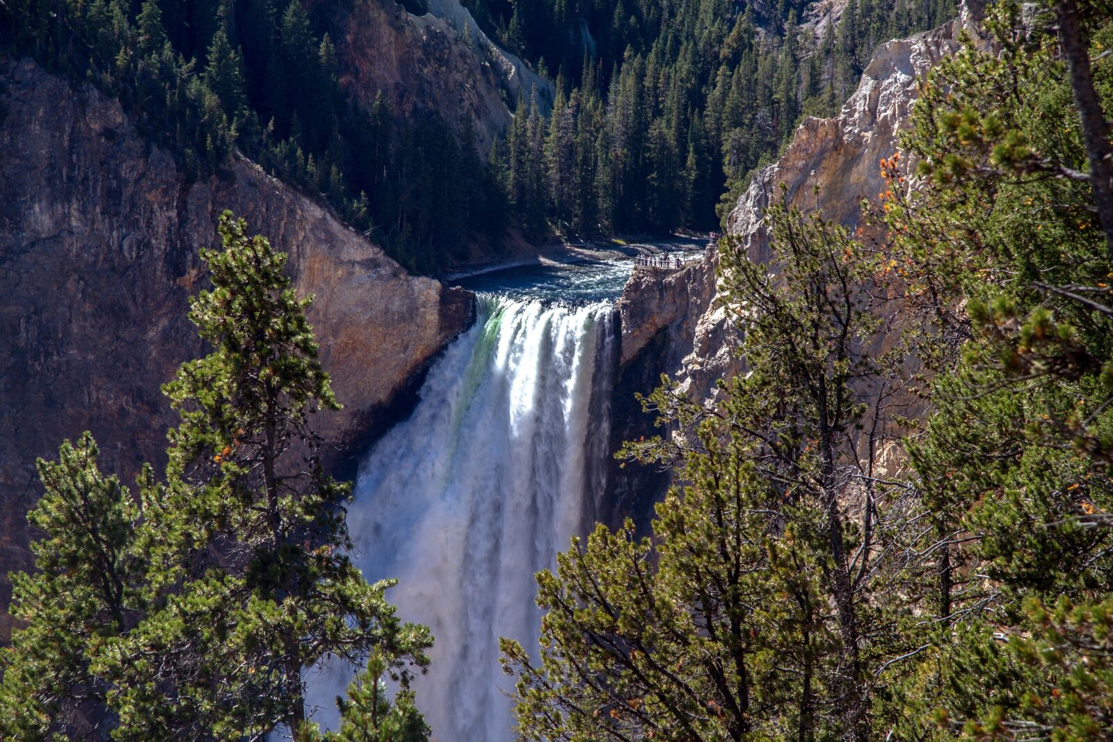 Canon EOS 7D sample photo. Yellowstone national park, lower photography