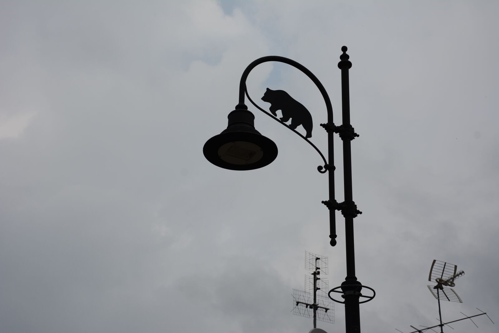 Nikon D7100 sample photo. Bear, antenna, sky photography