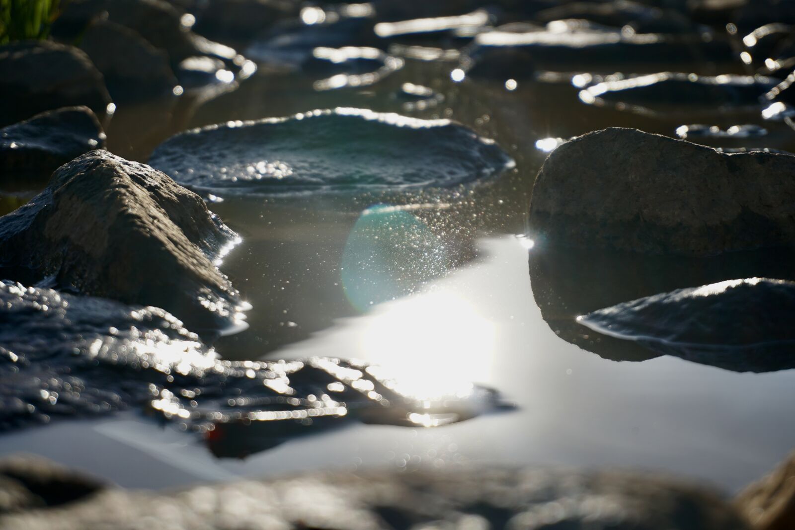 Sony a6500 sample photo