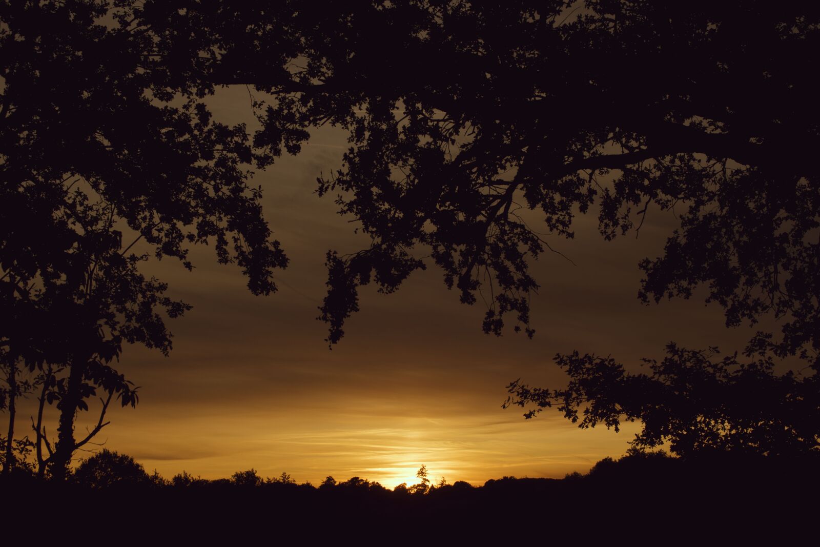 Nikon D5600 sample photo. Twilight, field, landscape photography