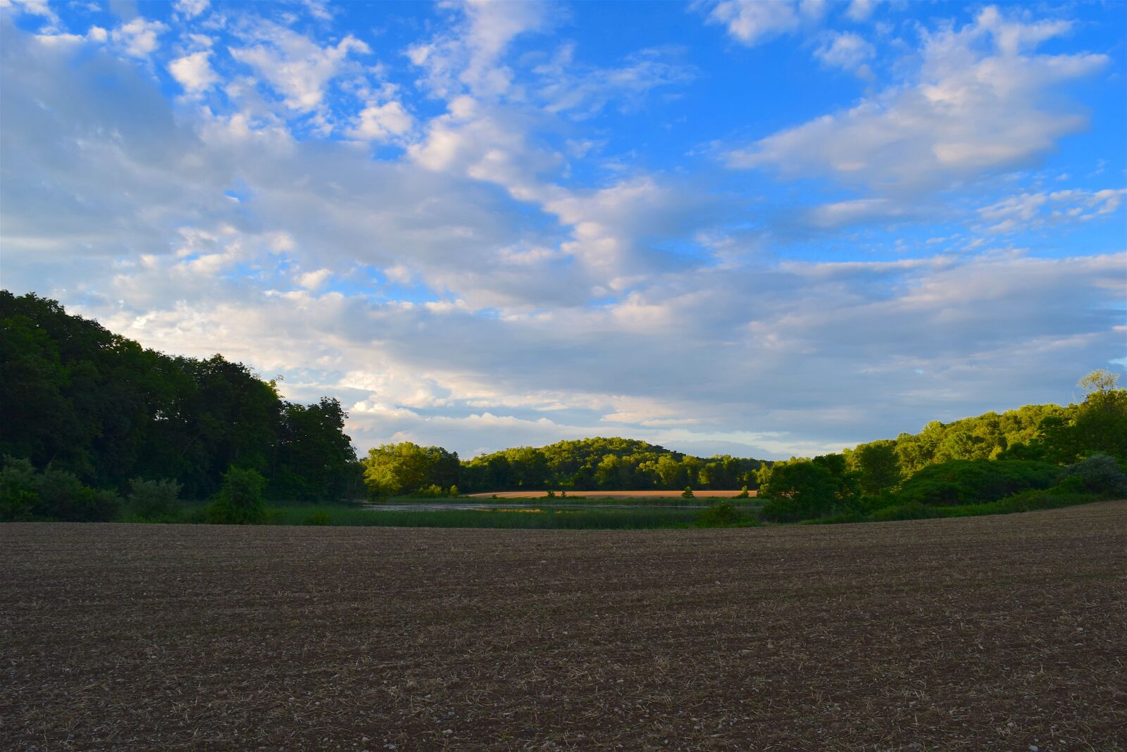 Nikon D3300 sample photo. Field, sky, evening photography