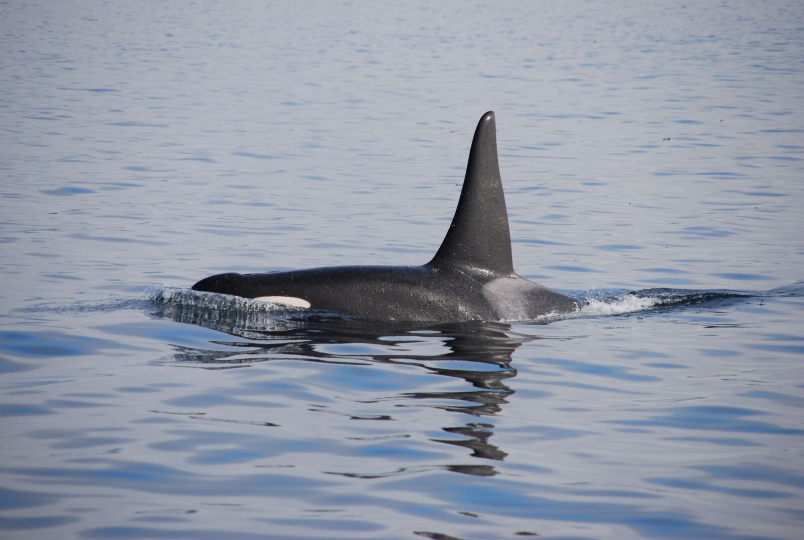 Nikon D80 sample photo. Nature, sea, water photography