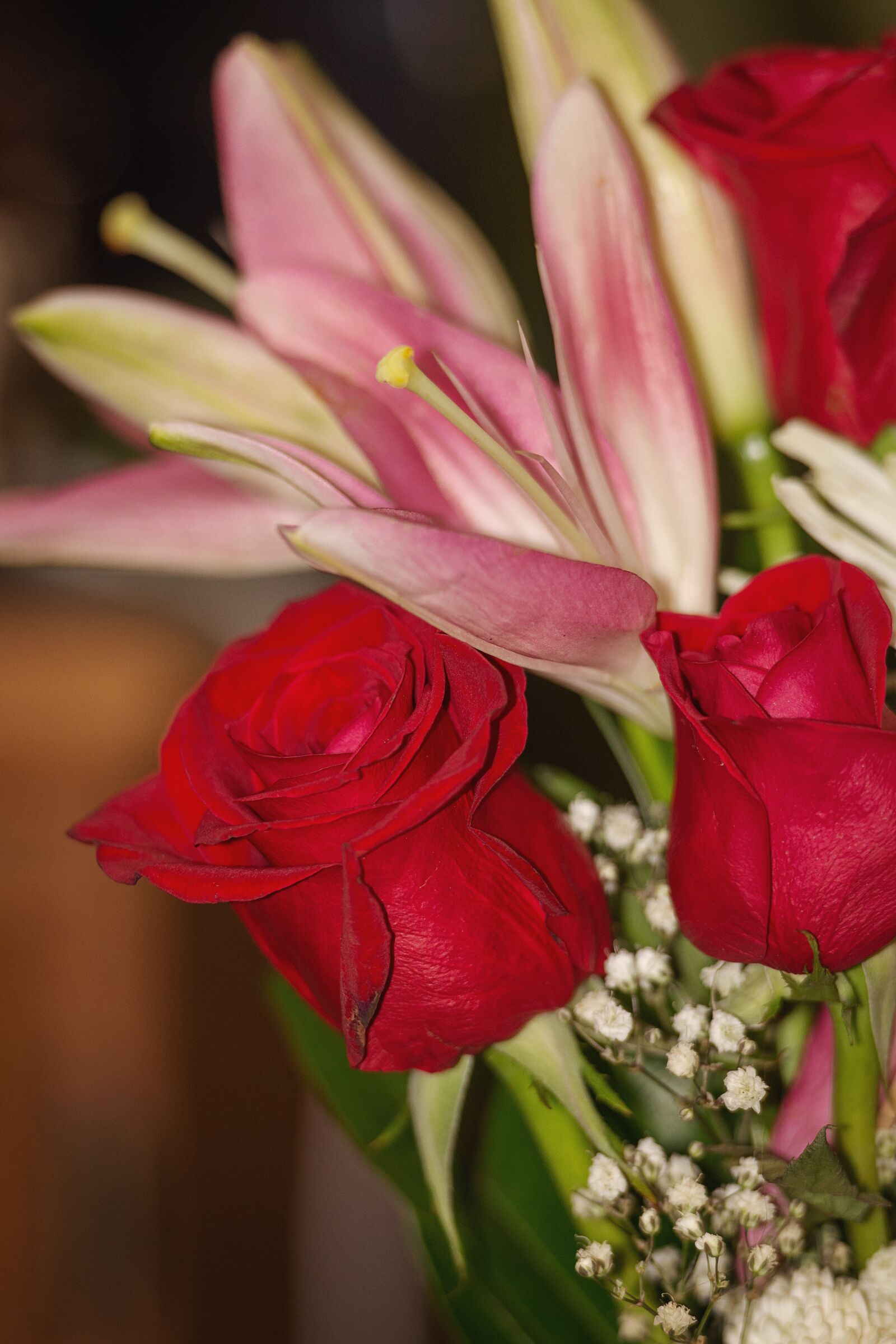 Nikon D7200 sample photo. Flowers, rose, lily photography