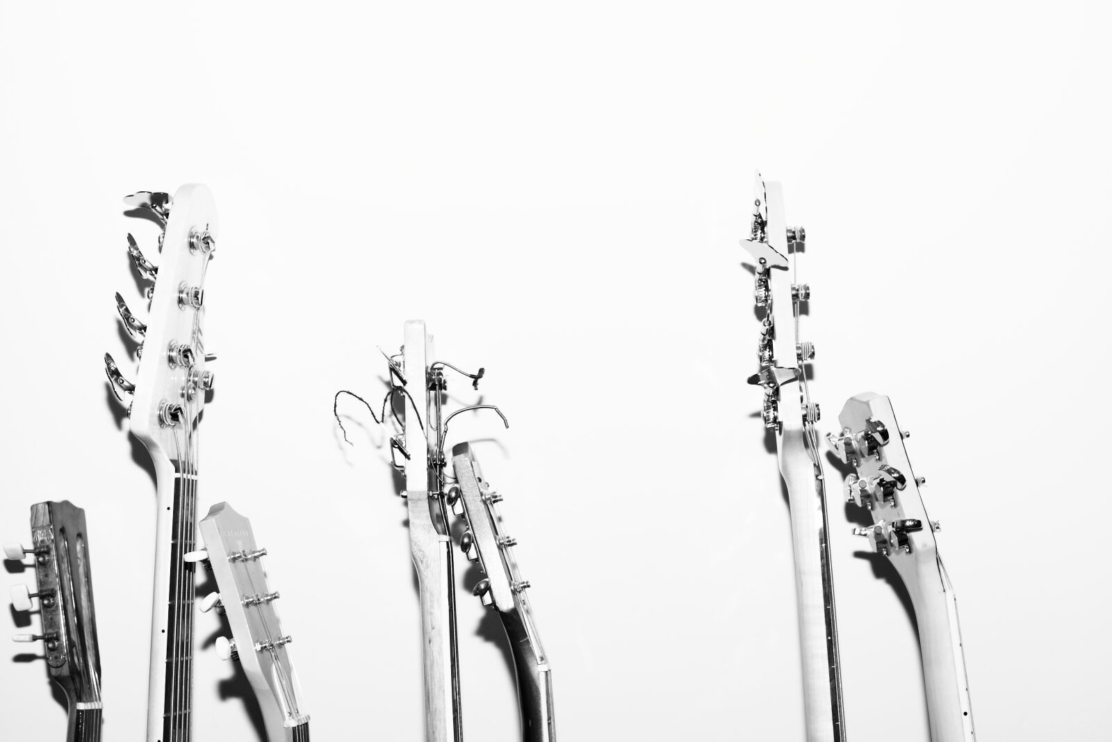 Canon EOS 5D Mark II sample photo. Music, guitar, bass photography