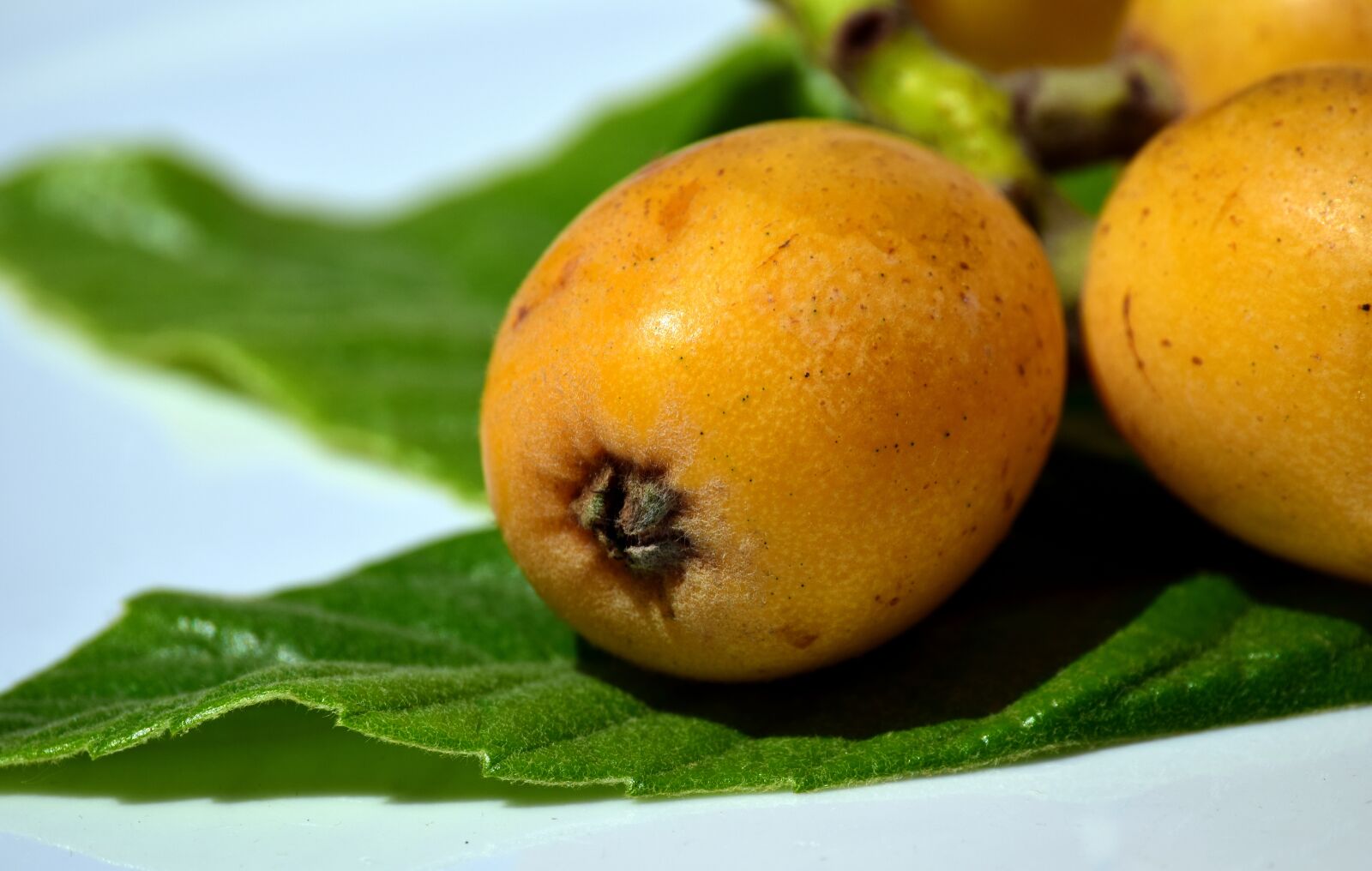 Nikon D3300 sample photo. Medlar, fruit, yellow photography