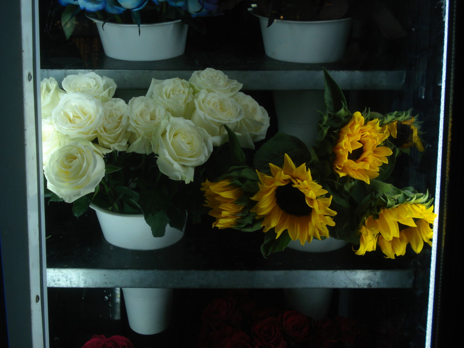 Sony DSC-W70 sample photo