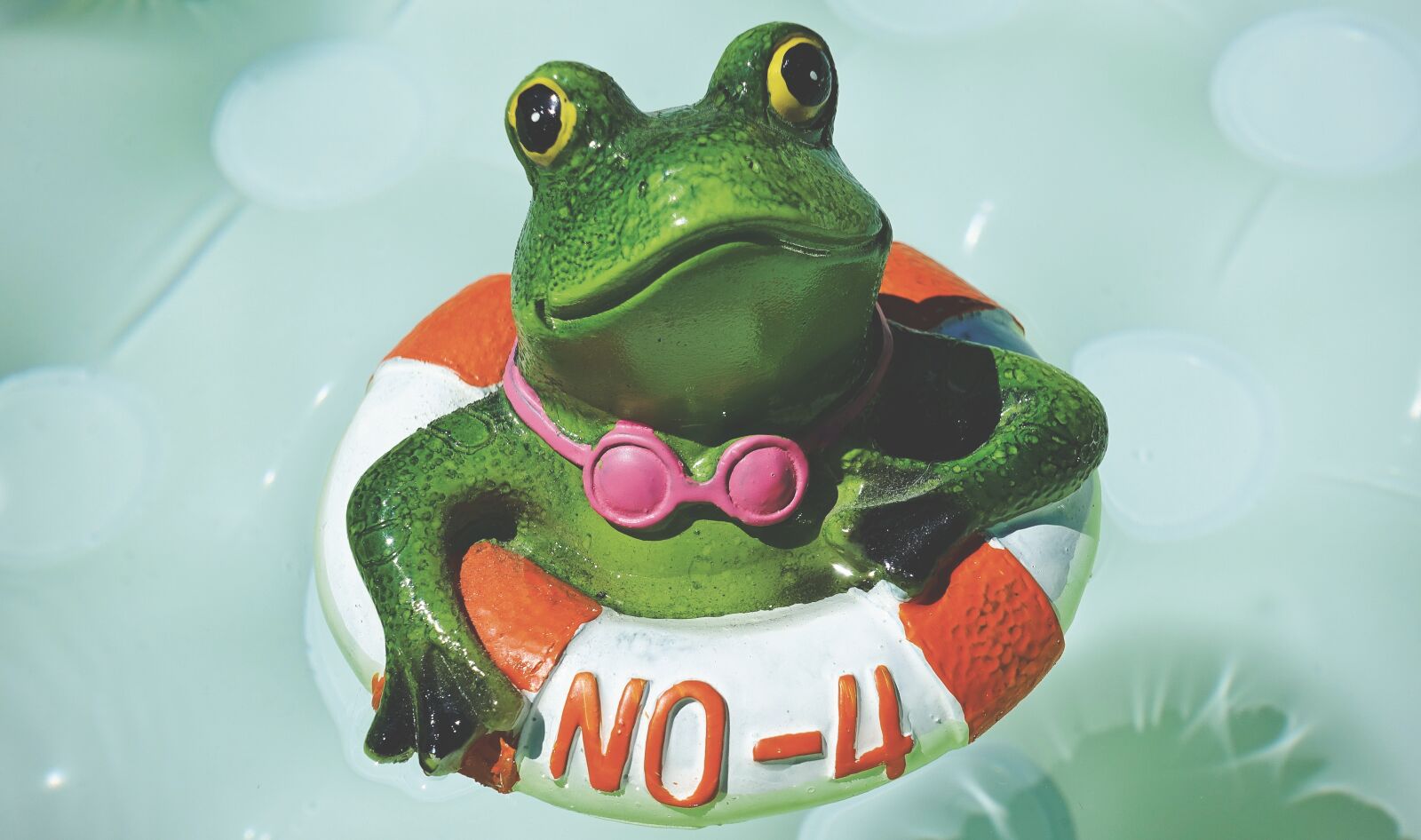 Sony DSC-RX100M5 sample photo. Frog, figure, swim photography