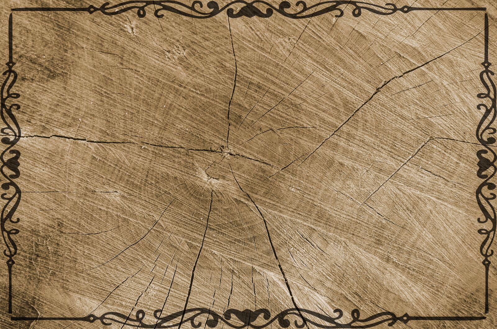 Nikon D5100 sample photo. Tree, texture, grain photography