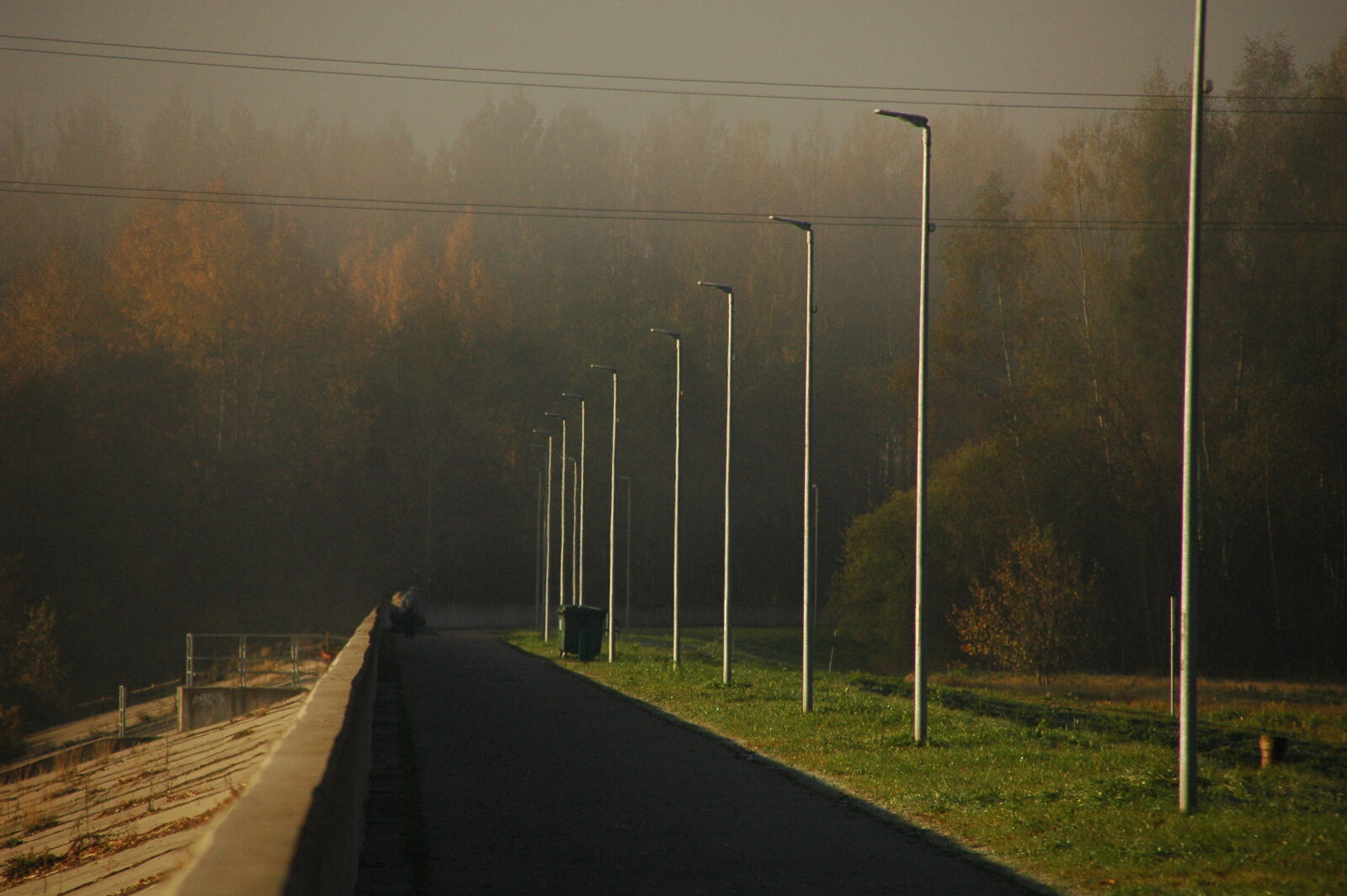 Nikon D70s sample photo