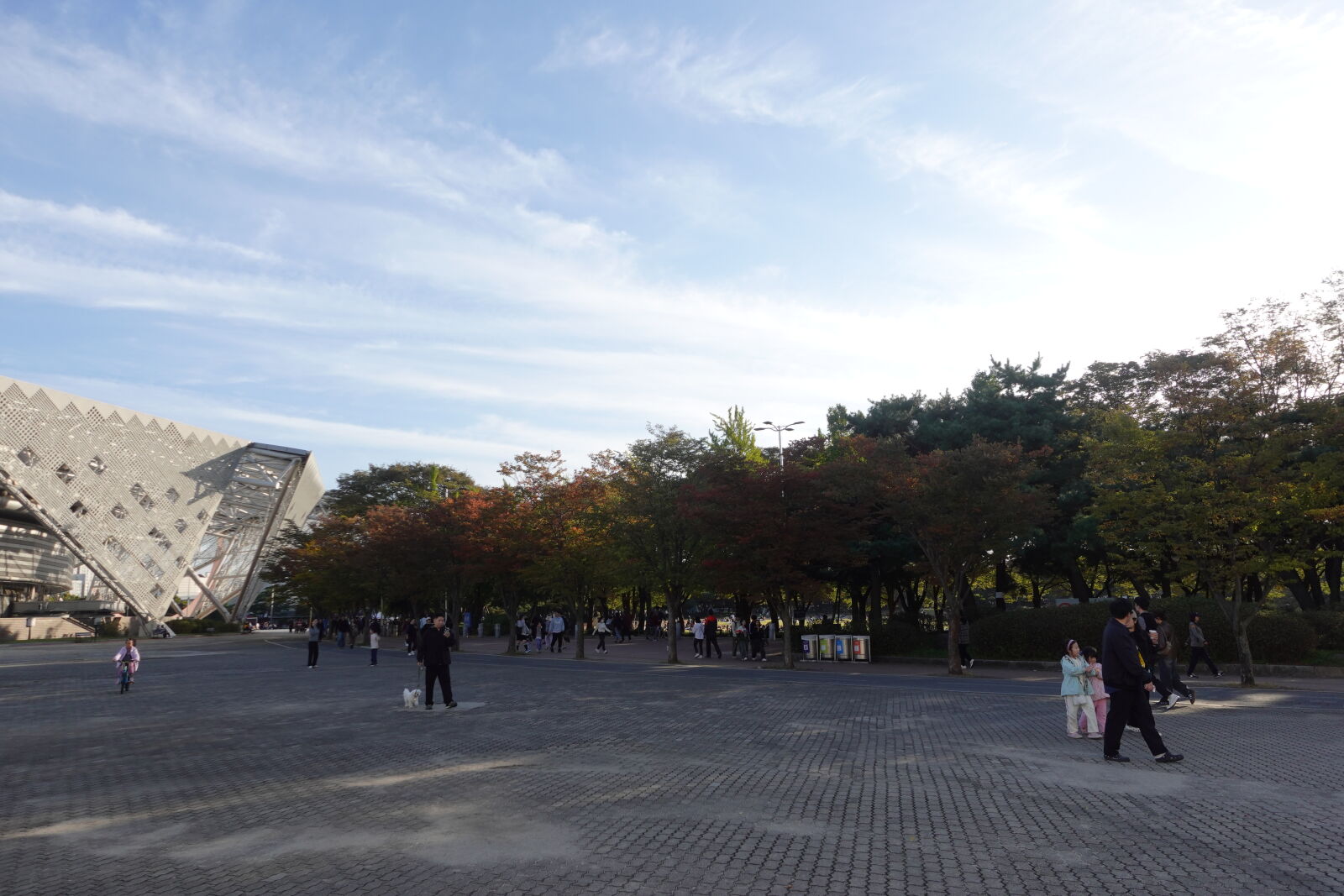 Sony ZV-1 sample photo