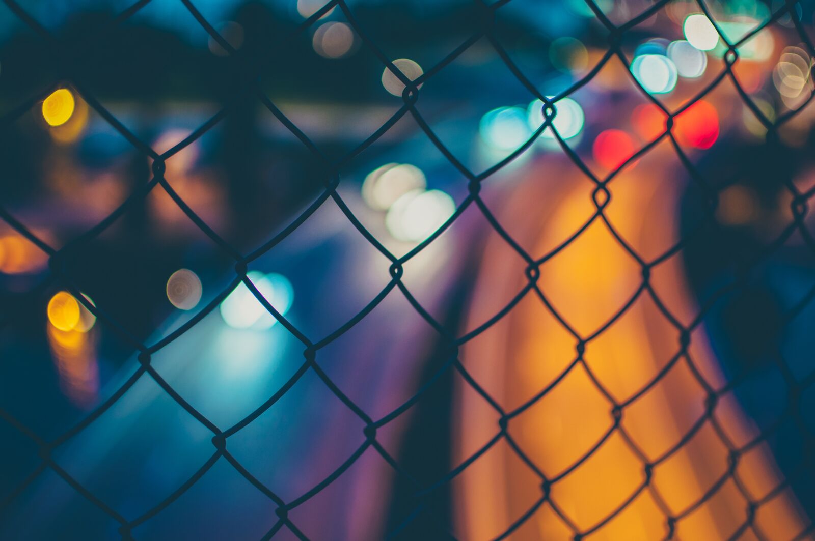 Nikon D90 sample photo. Blurred, bokeh, fence photography
