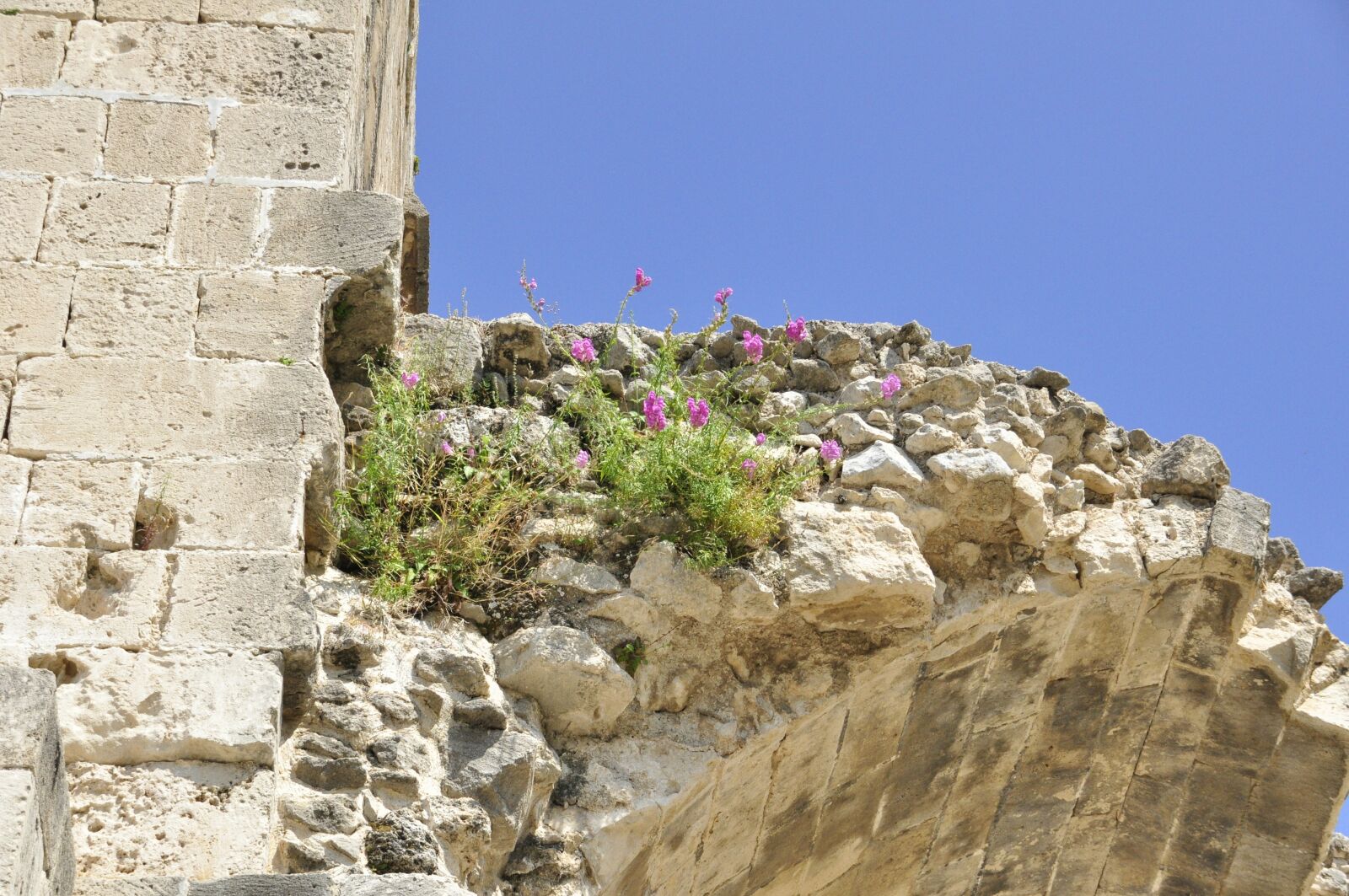 Nikon D90 sample photo. Ruine, heaven, state of photography