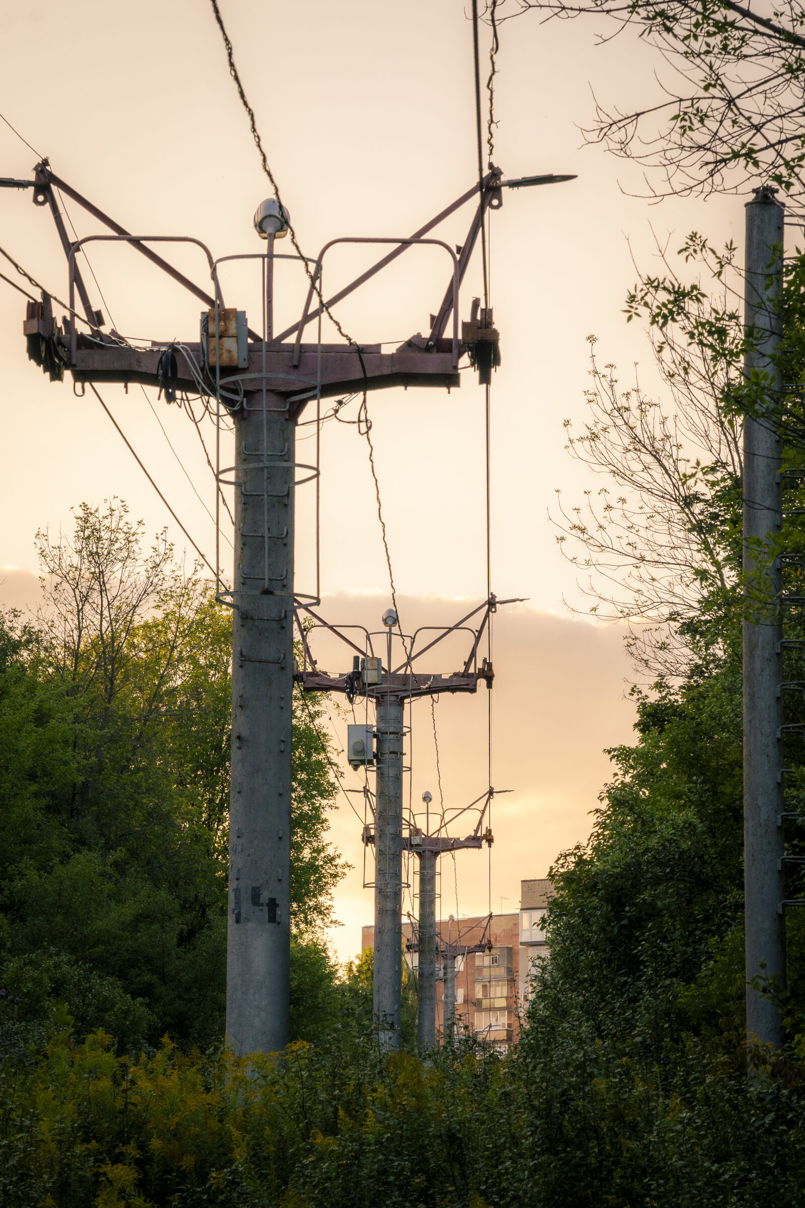 Sony a7 IV sample photo
