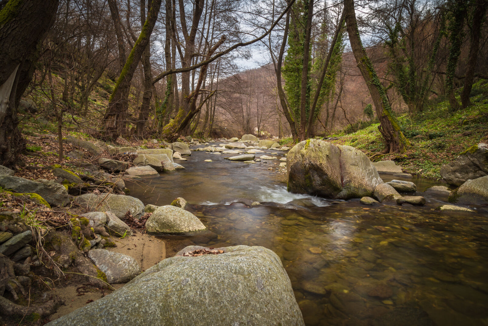 Canon EF 24-105mm F4L IS USM sample photo. Beautiful, boulders, branches, creek photography