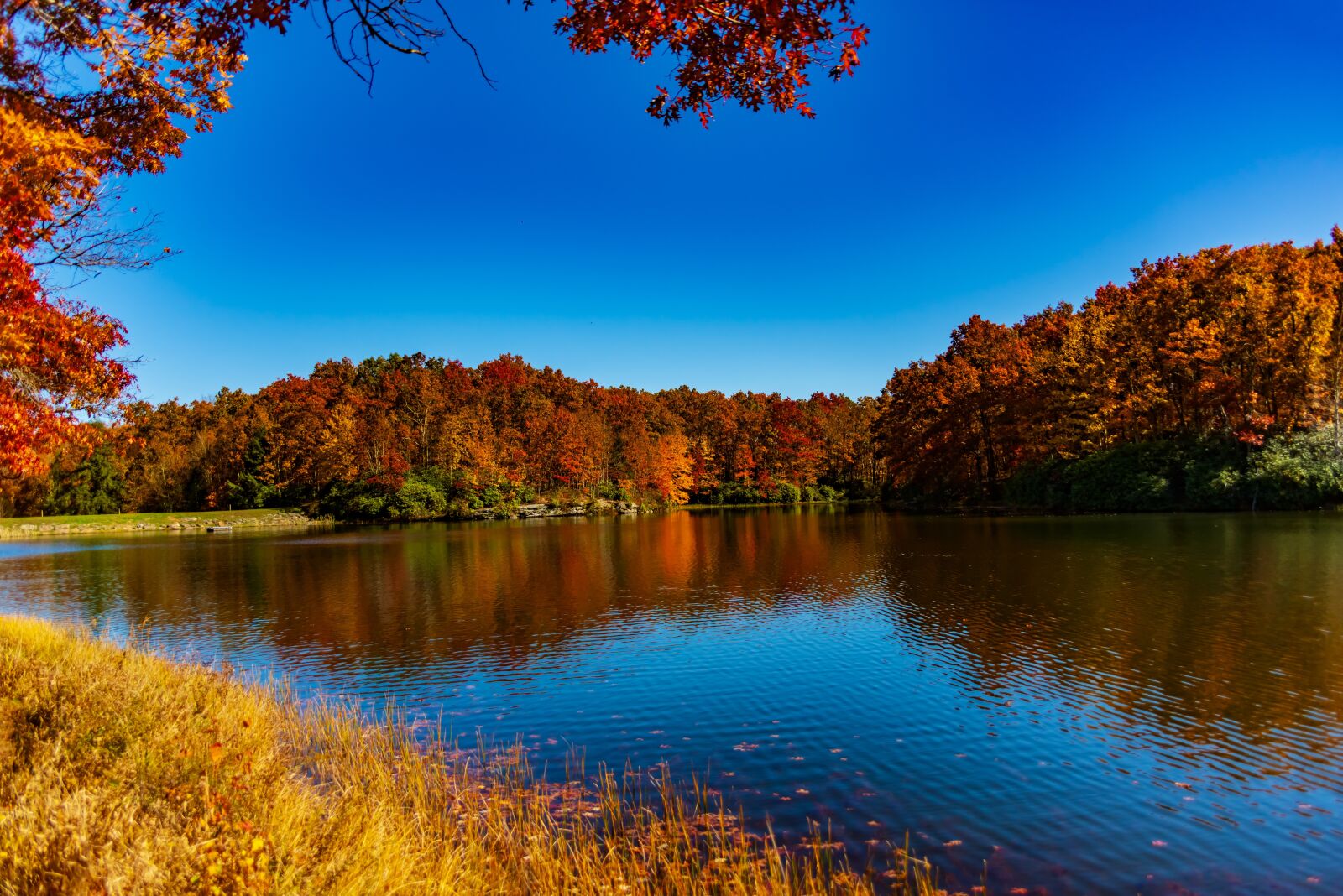 Nikon D800 sample photo. Lake, wv, landscape photography
