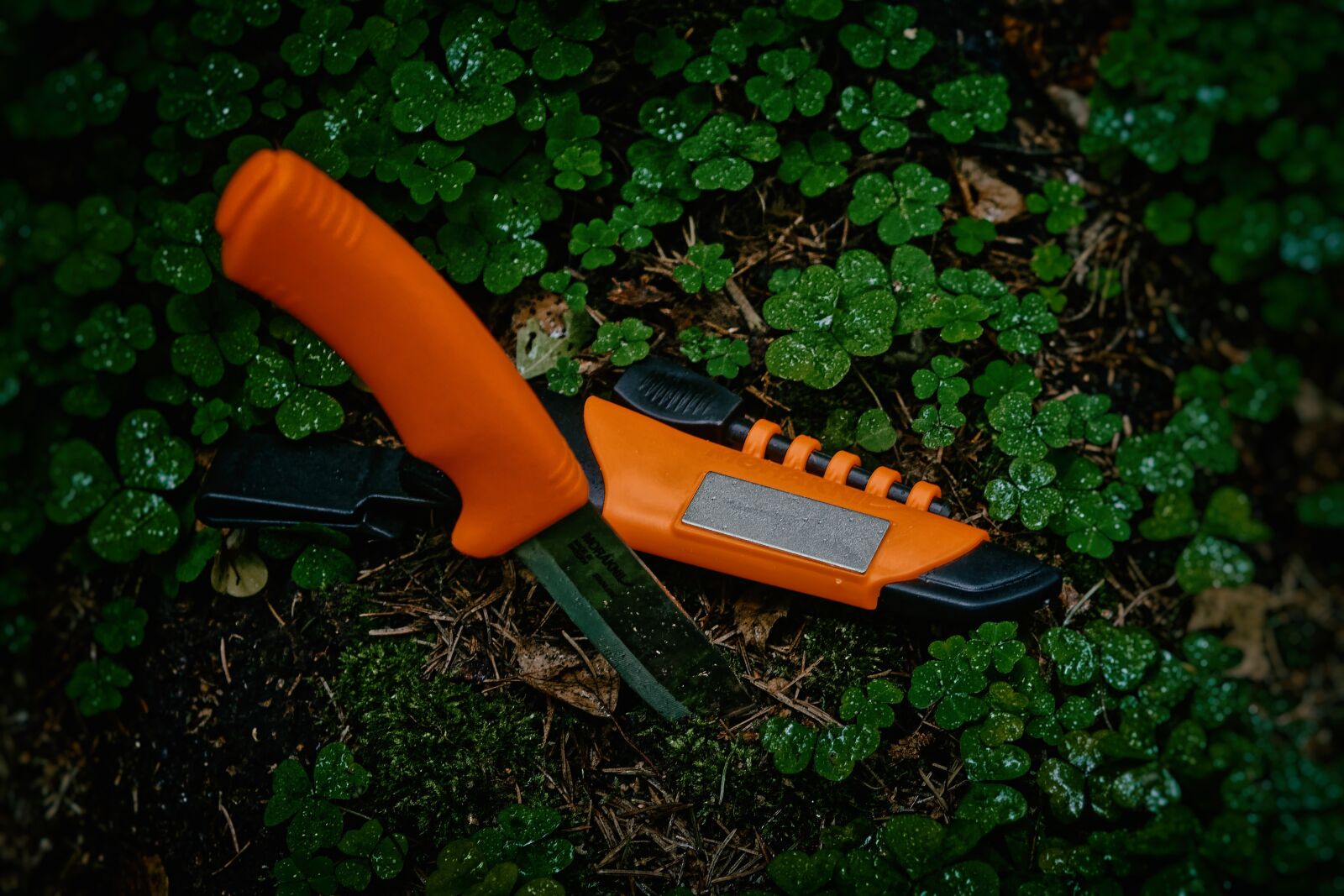 Canon EOS 500D (EOS Rebel T1i / EOS Kiss X3) sample photo. Knife, nature, orange photography