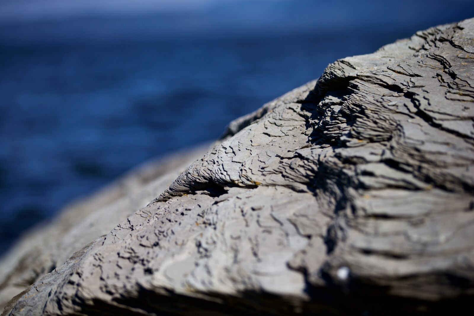 Canon EOS-1D X + Canon EF 70-200mm F2.8L IS II USM sample photo. Sea, ocean, blur photography