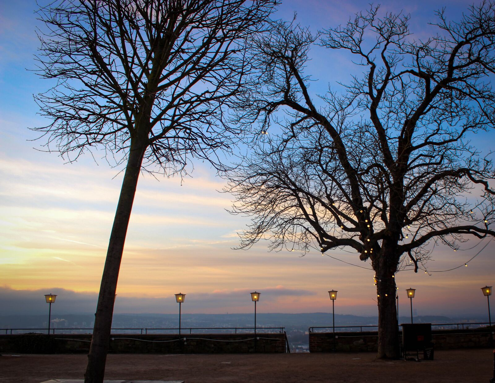 Canon EOS 600D (Rebel EOS T3i / EOS Kiss X5) sample photo. Evening, winter, trees photography