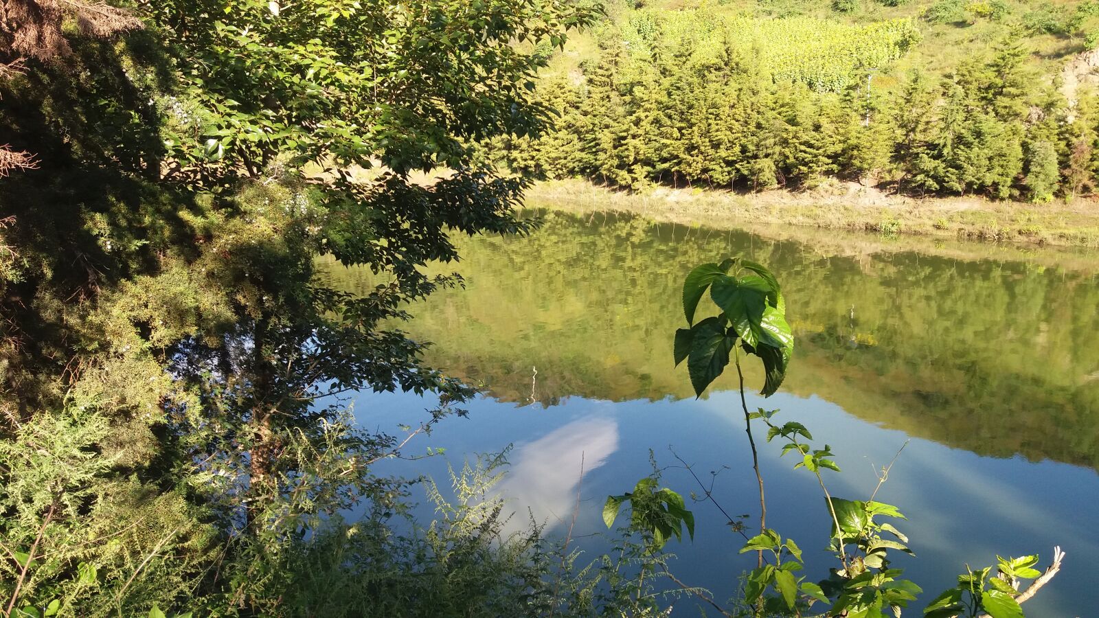 Samsung Galaxy J7 sample photo. Beautiful, creek, trees photography