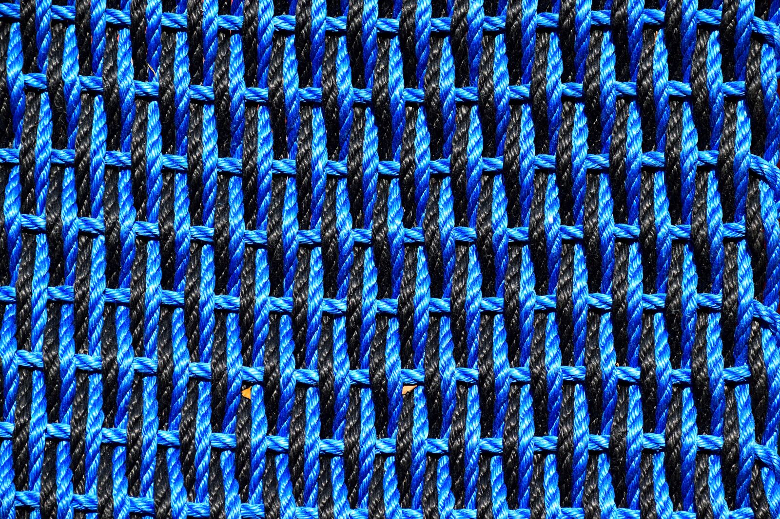 Nikon D3300 sample photo. Background, backdrop, pattern photography