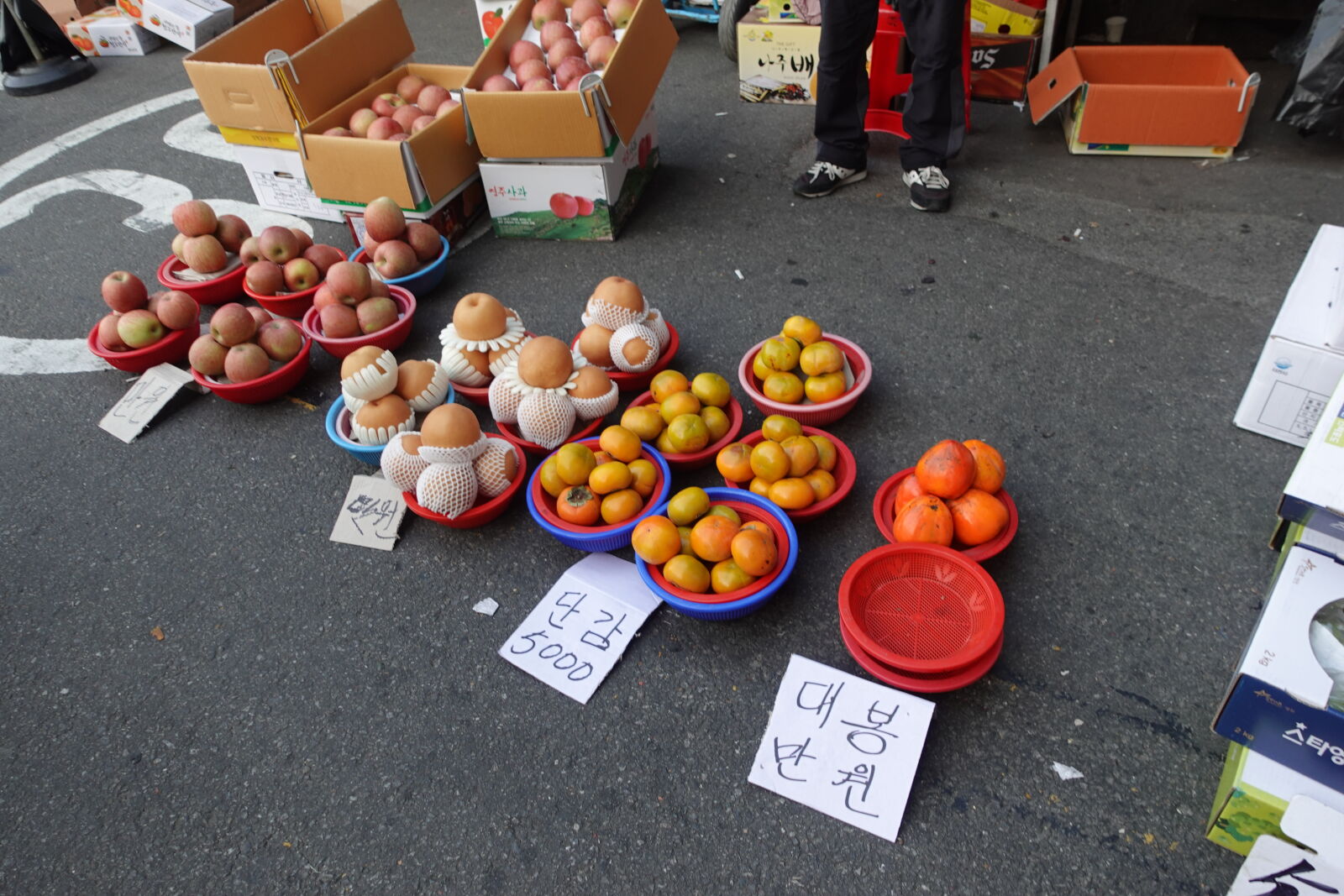 Sony ZV-1 sample photo