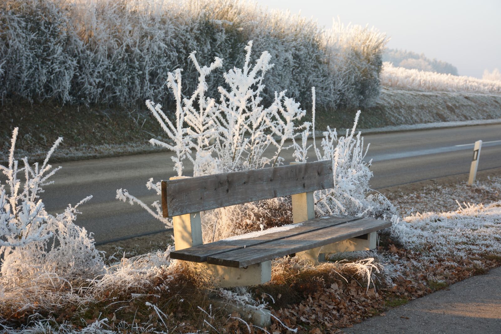 Nikon D5200 sample photo. Winter, frost, bench photography