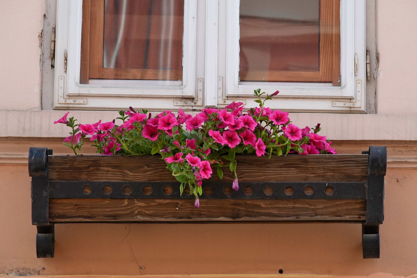 Nikon D5500 sample photo. Flowerpot, wood, sill, wooden photography