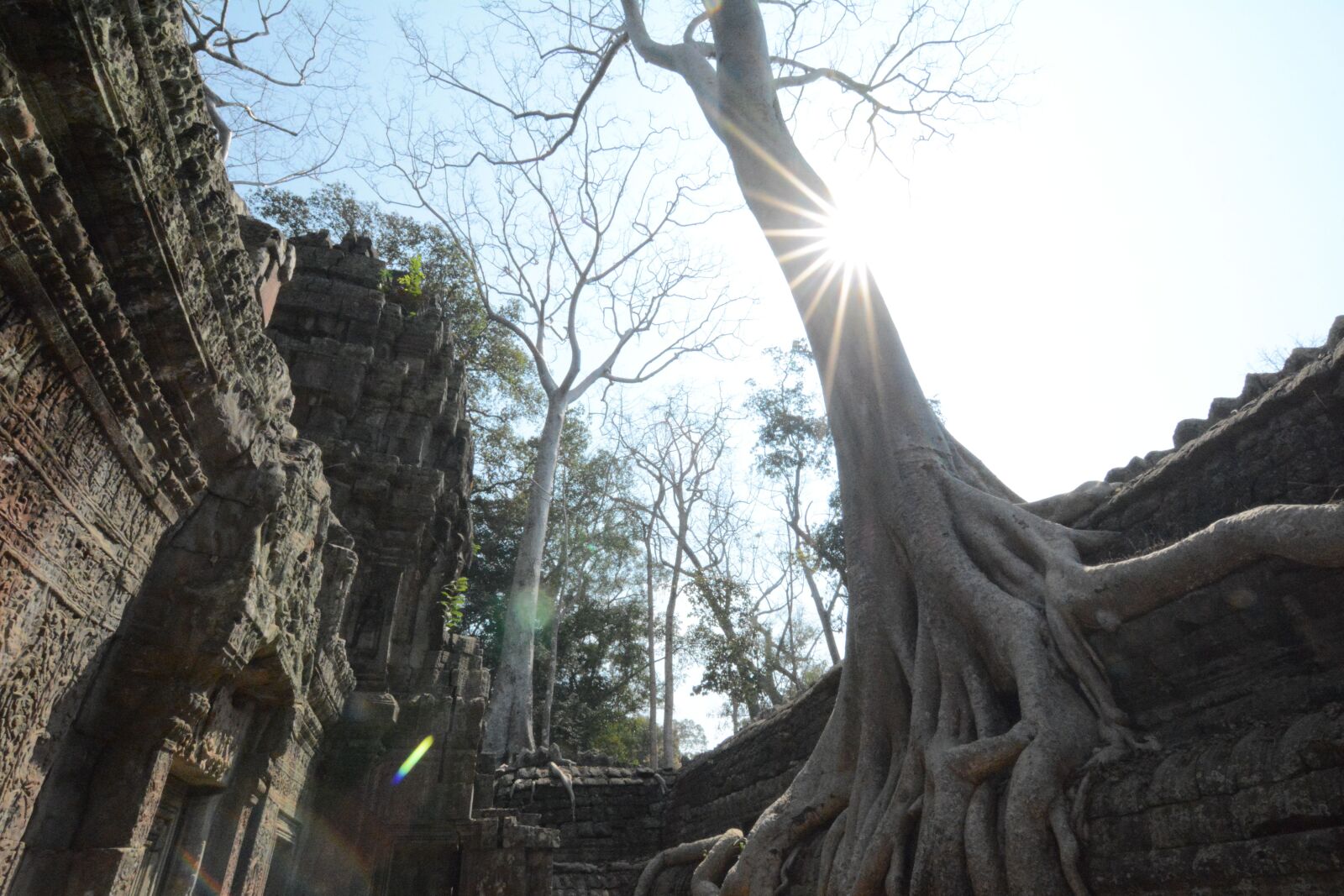 Nikon D7100 sample photo