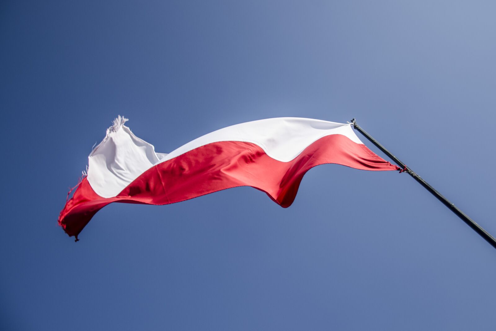 Nikon D7000 sample photo. Flag, poland, patriotism photography