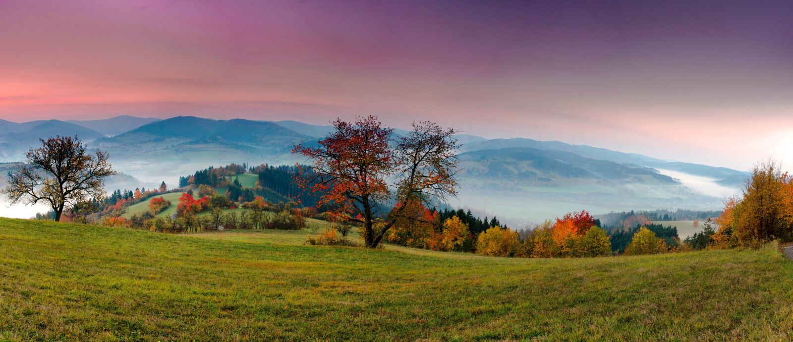 Nikon D5100 sample photo. Panorama, landscape, nature photography