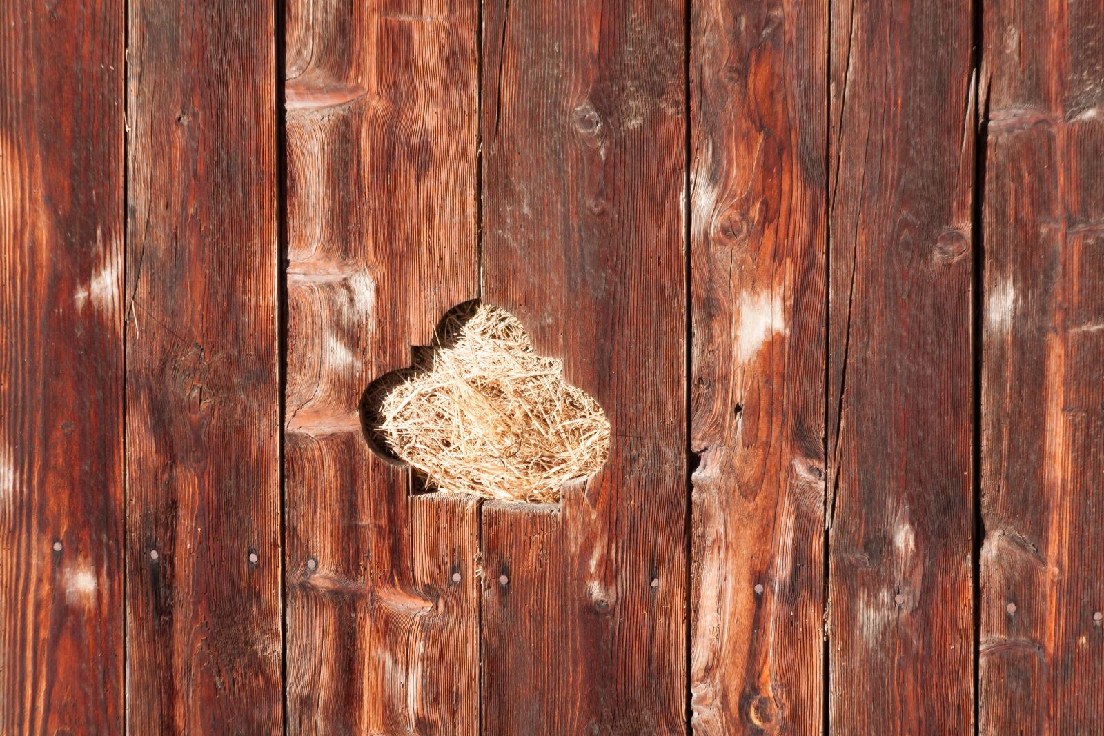 Canon EOS 50D sample photo. Barn, detail, wood photography