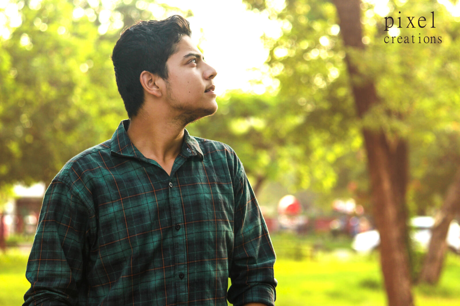 Canon EOS 700D (EOS Rebel T5i / EOS Kiss X7i) sample photo. Adobe, photoshop, black, checkered photography