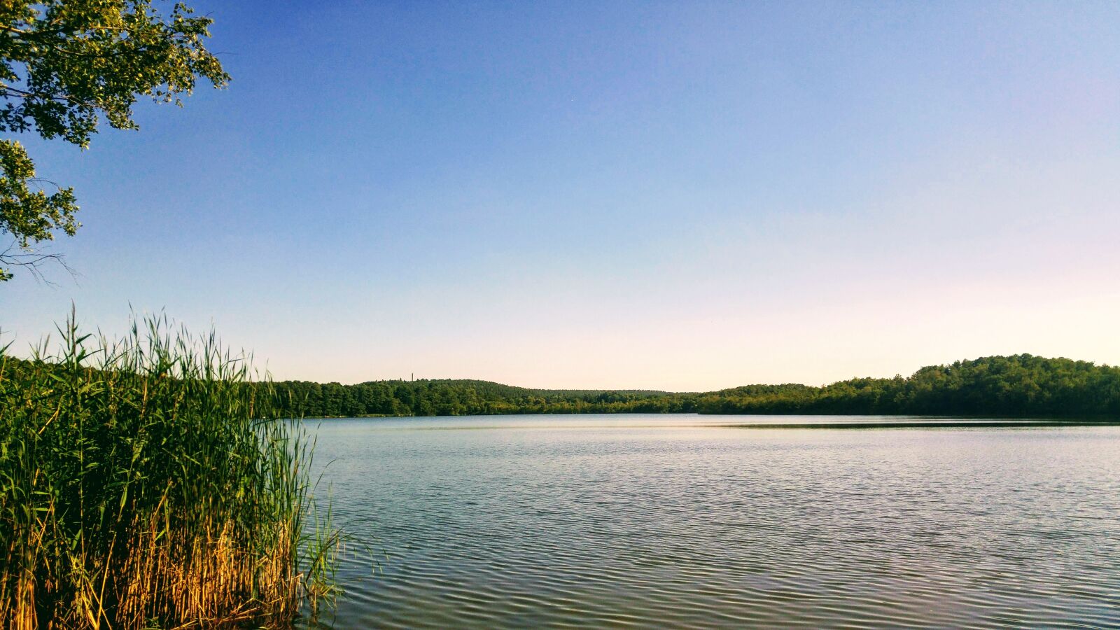 LG G4 sample photo. Germany, brandenburg, zesch photography