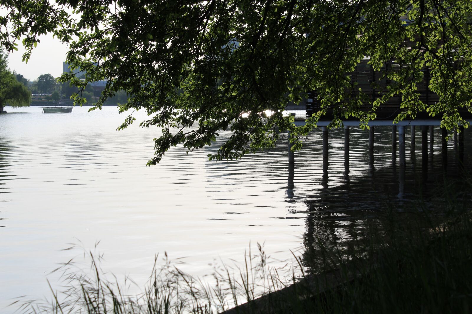 Canon EOS 1200D (EOS Rebel T5 / EOS Kiss X70 / EOS Hi) sample photo. Water, lake, bucharest photography