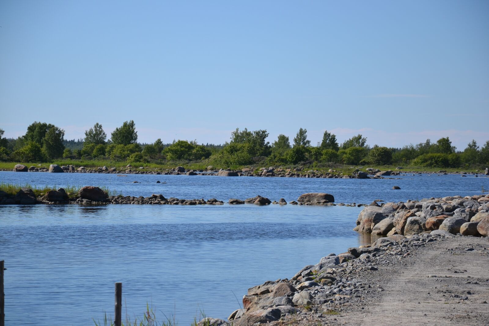 Nikon D3100 sample photo. Nature, summer, seaside photography