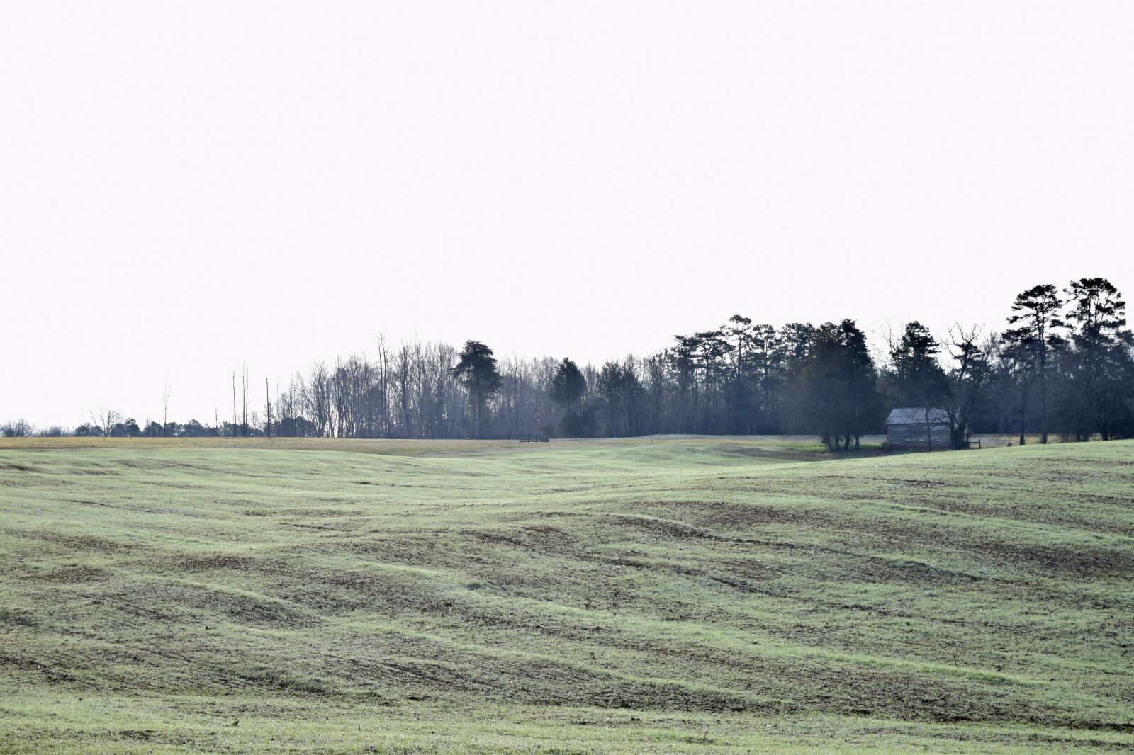 Nikon D3300 sample photo. Fog, mist, nature photography