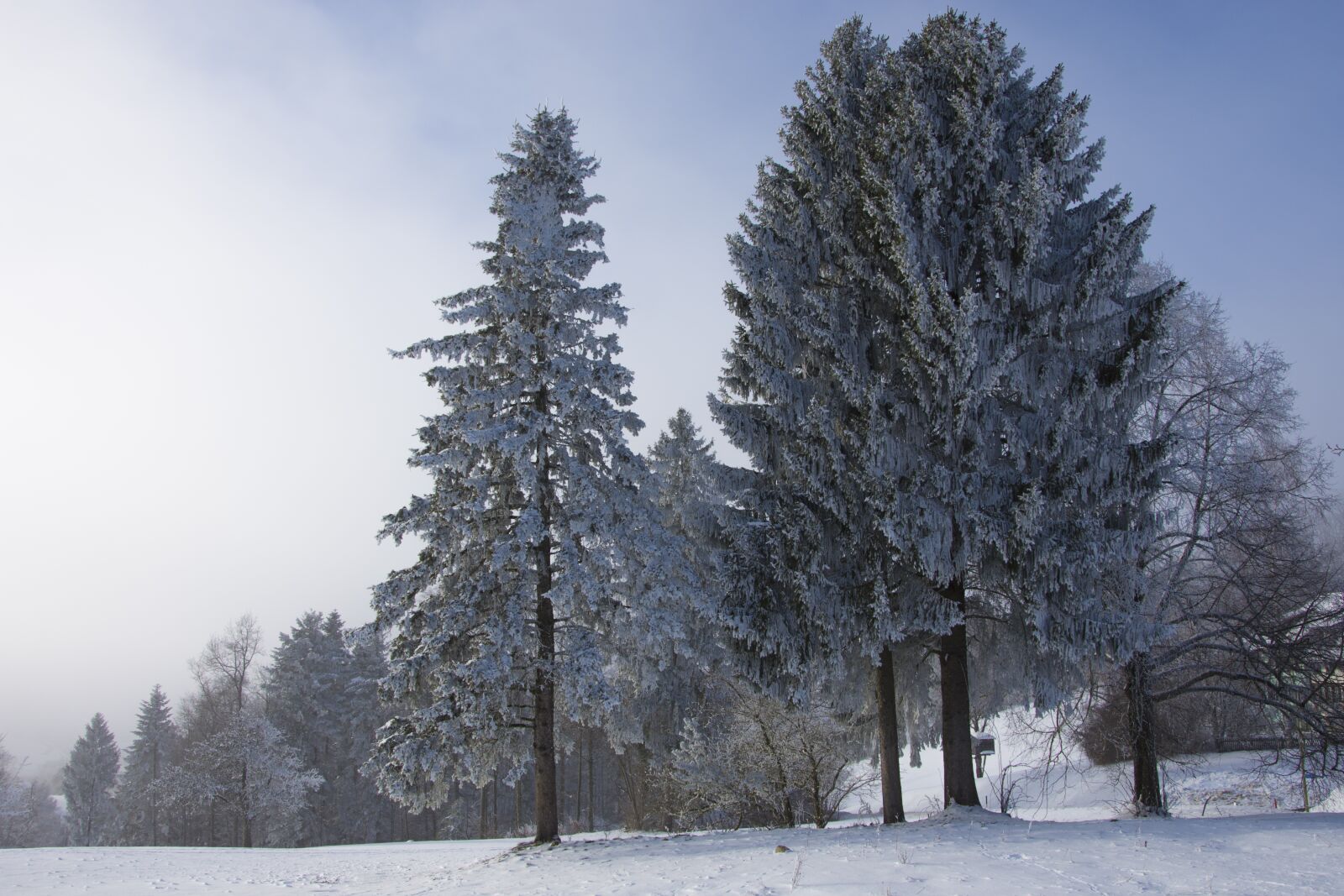 Nikon D7200 sample photo. Winter, frozen, wintry photography