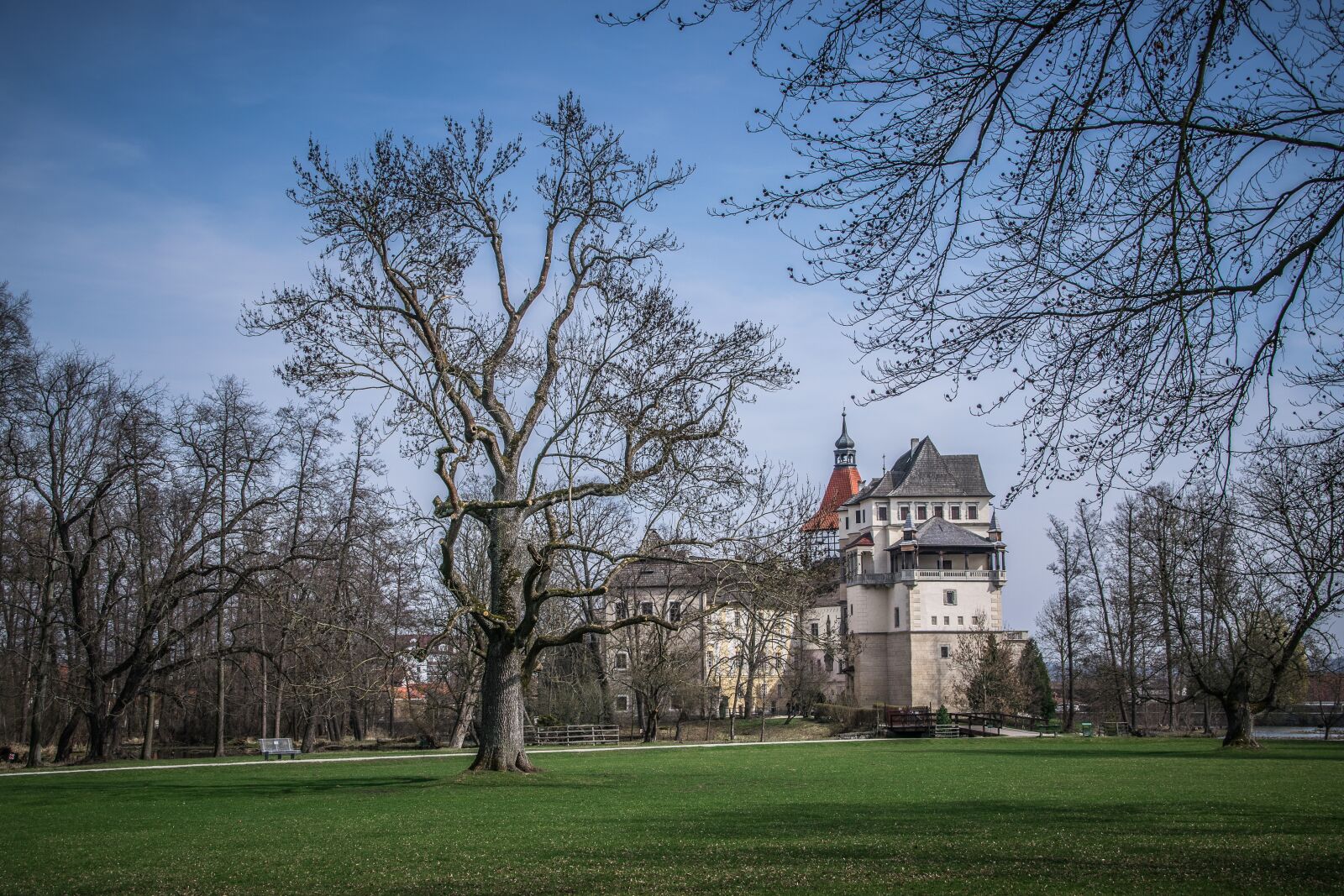 Nikon D5300 sample photo. Park, spring, trees photography